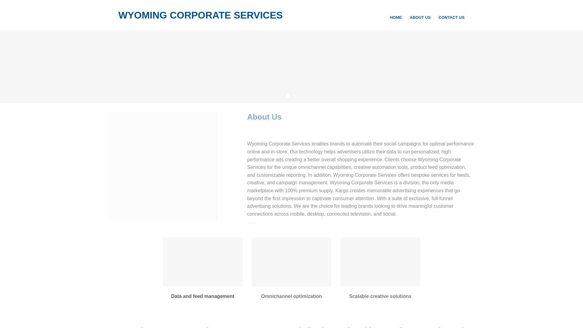 website screenshot of https://wyomingcorporateservices.shop/