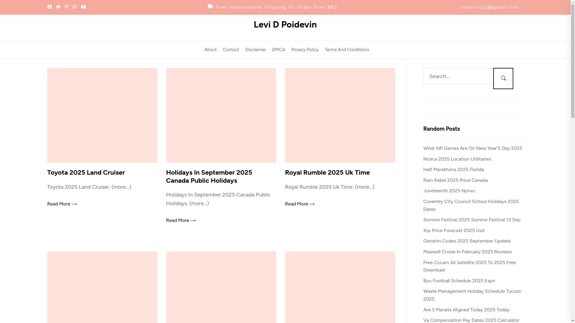 website screenshot of https://levidpoidevin.pages.dev/