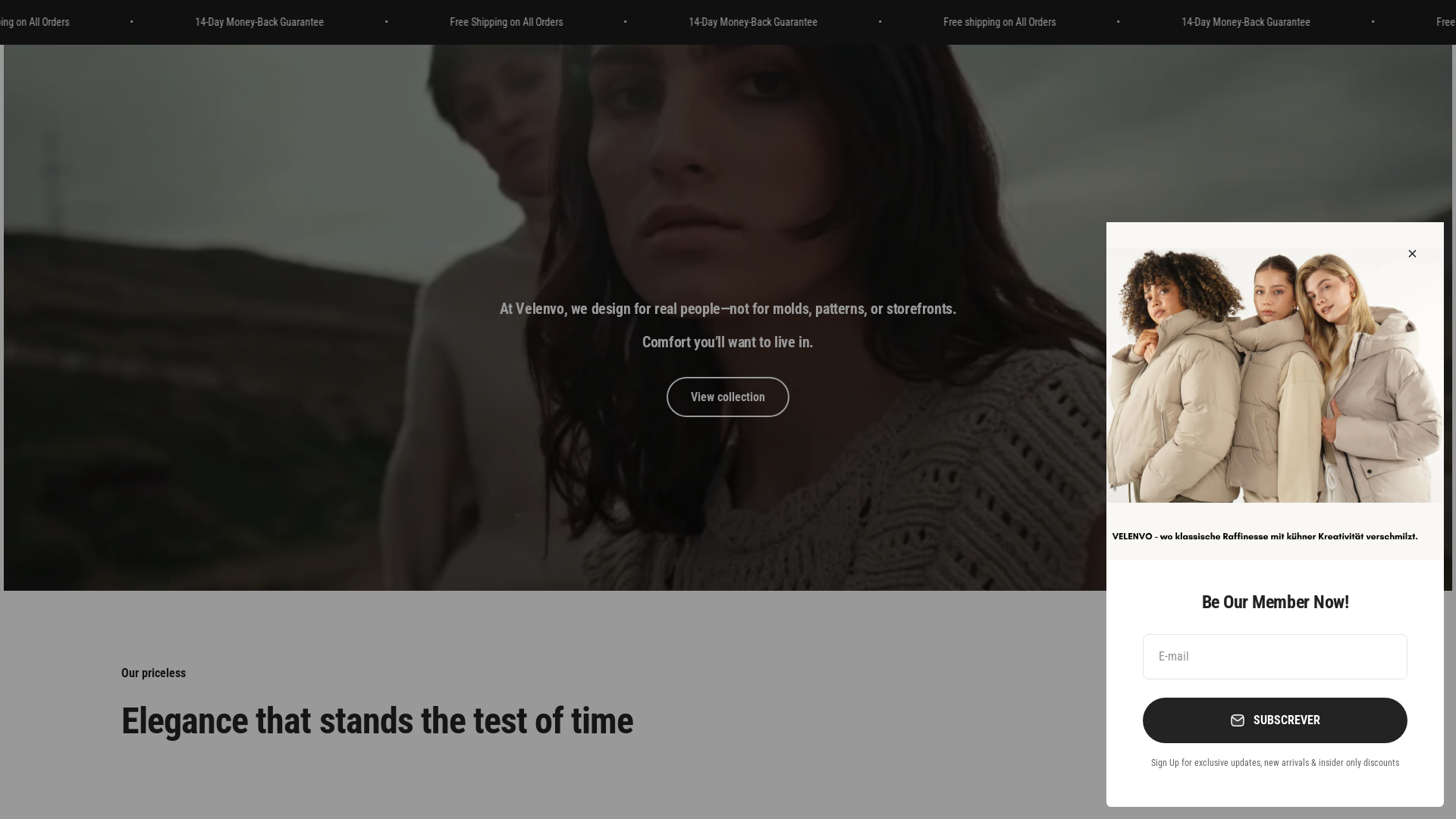 website screenshot of https://velenvo.com/