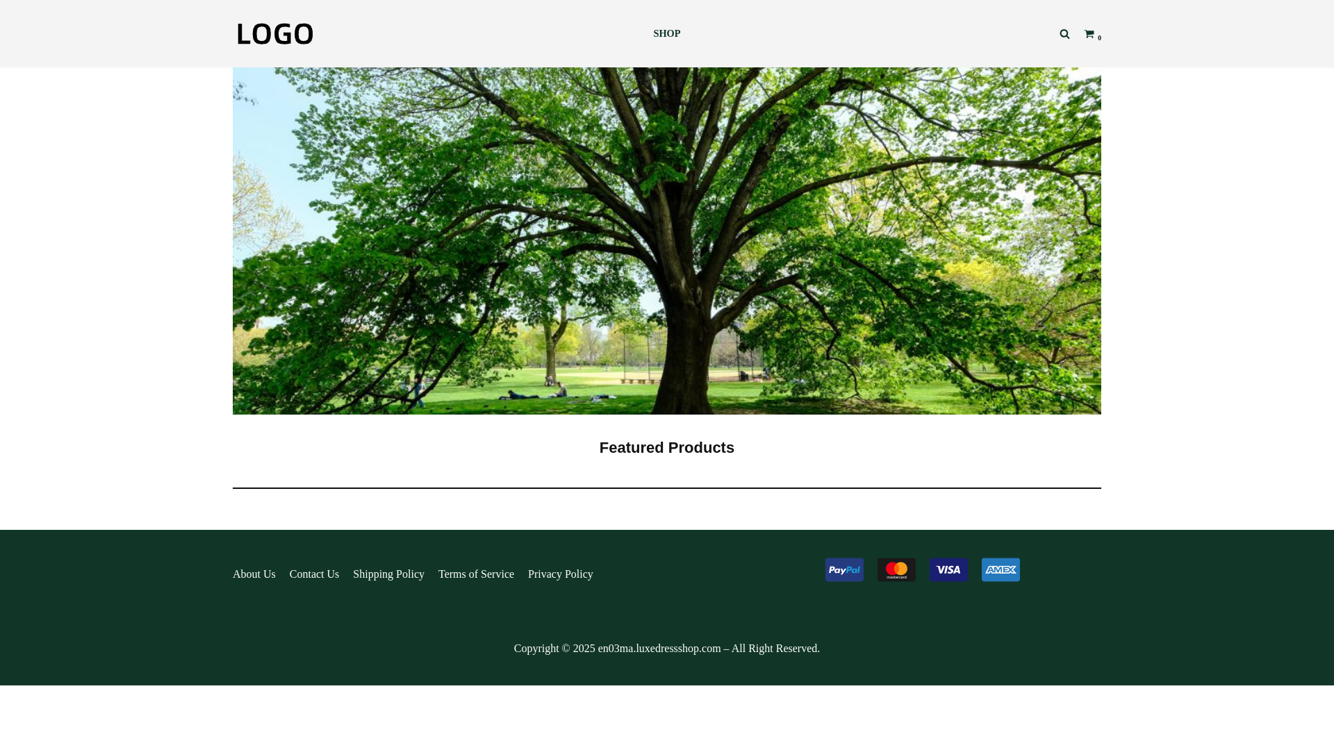 website screenshot of https://everysupportsource.com/