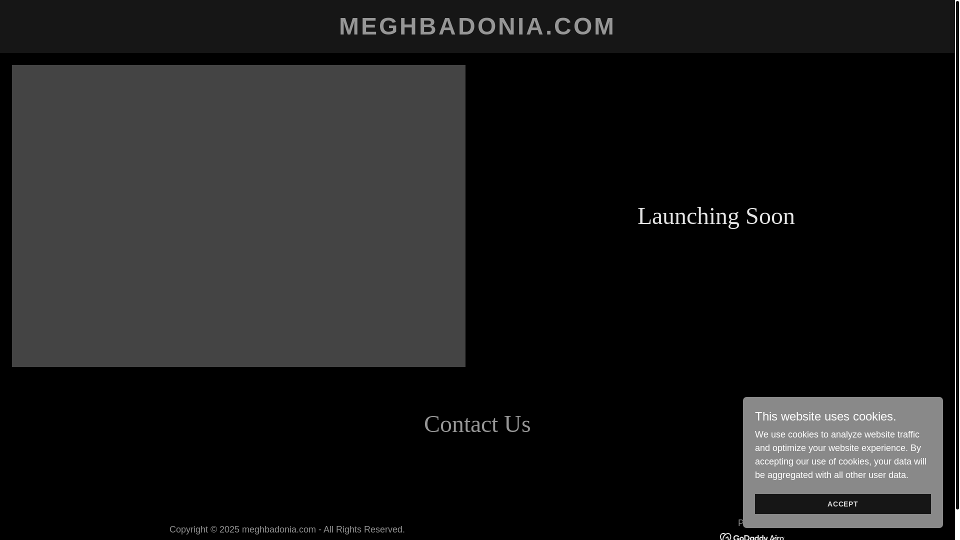 website screenshot of https://meghbadonia.com/