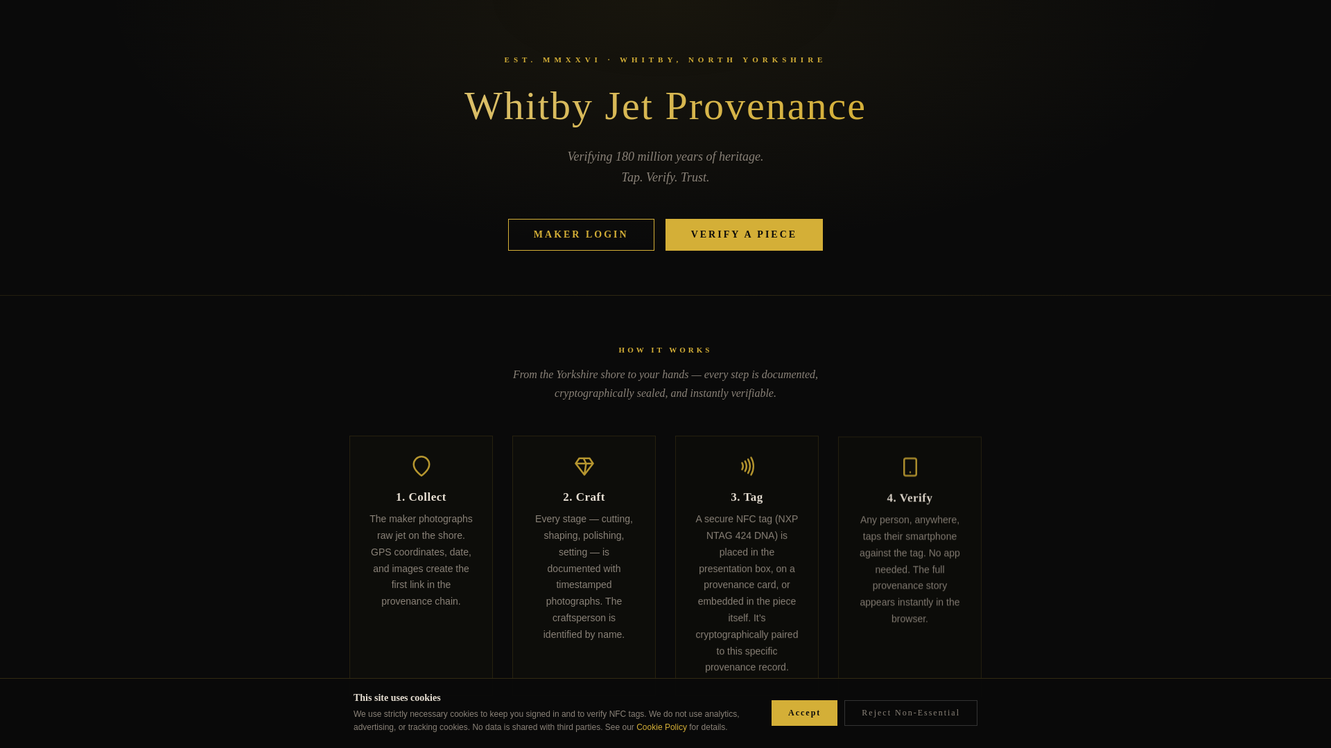 website screenshot of https://authenticwhitbyjet.co.uk/