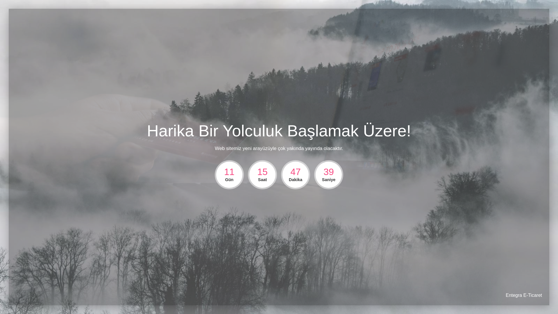 website screenshot of https://fazmarket.com.tr