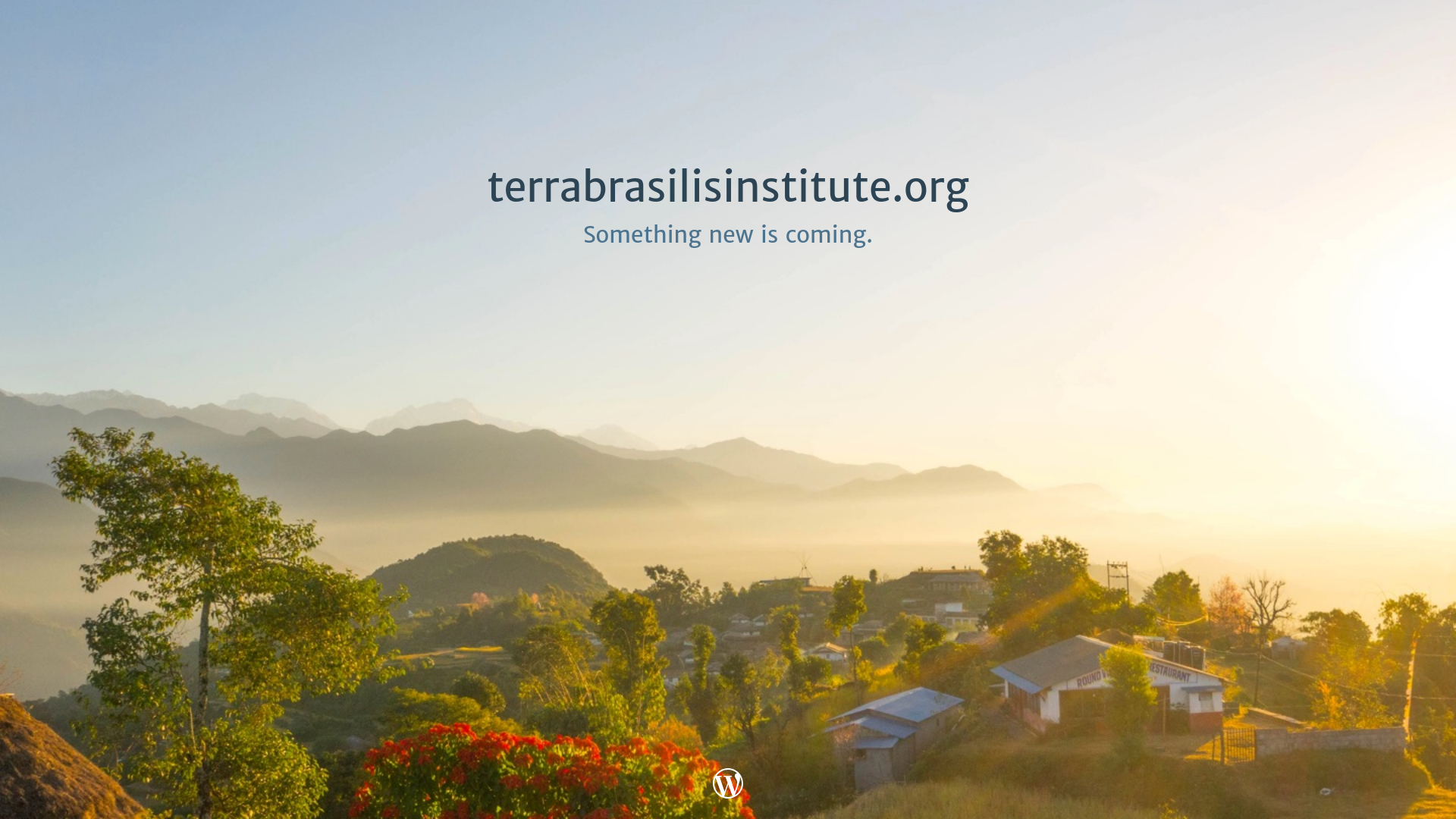website screenshot of https://terrabrasilisinstitute.org