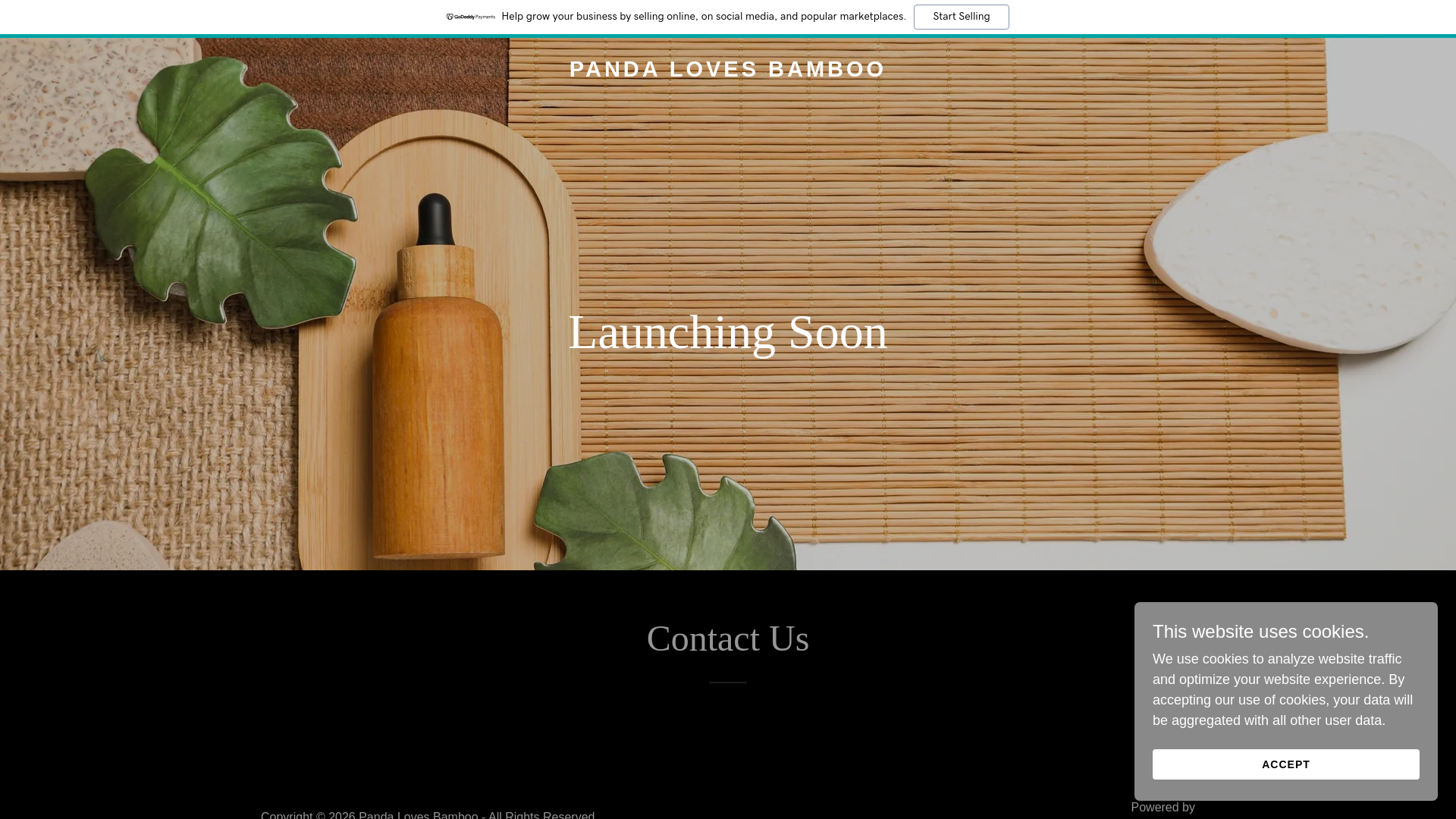 website screenshot of https://pandalovesbamboo.in/
