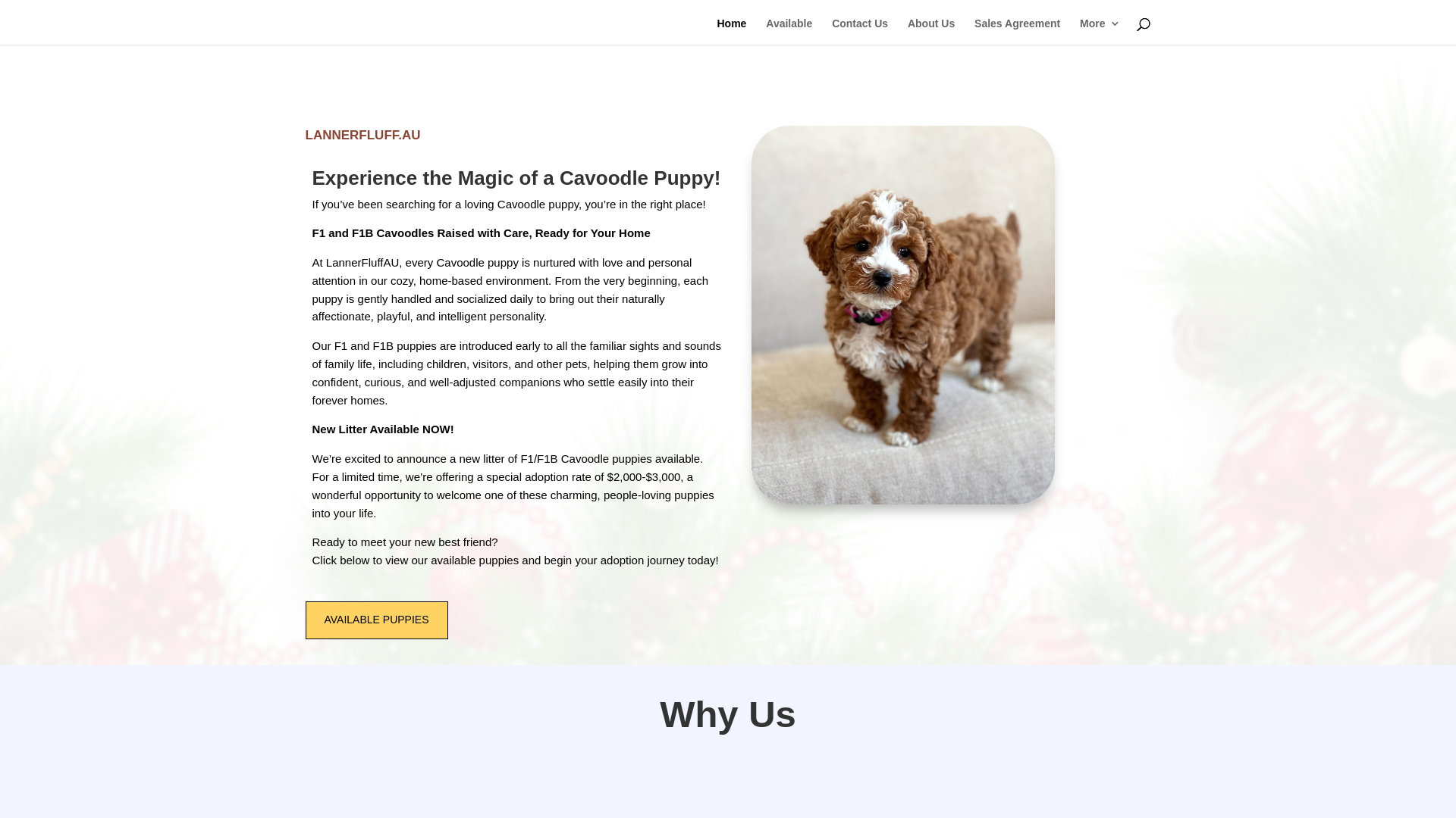 website screenshot of https://lannerfluffau.com/