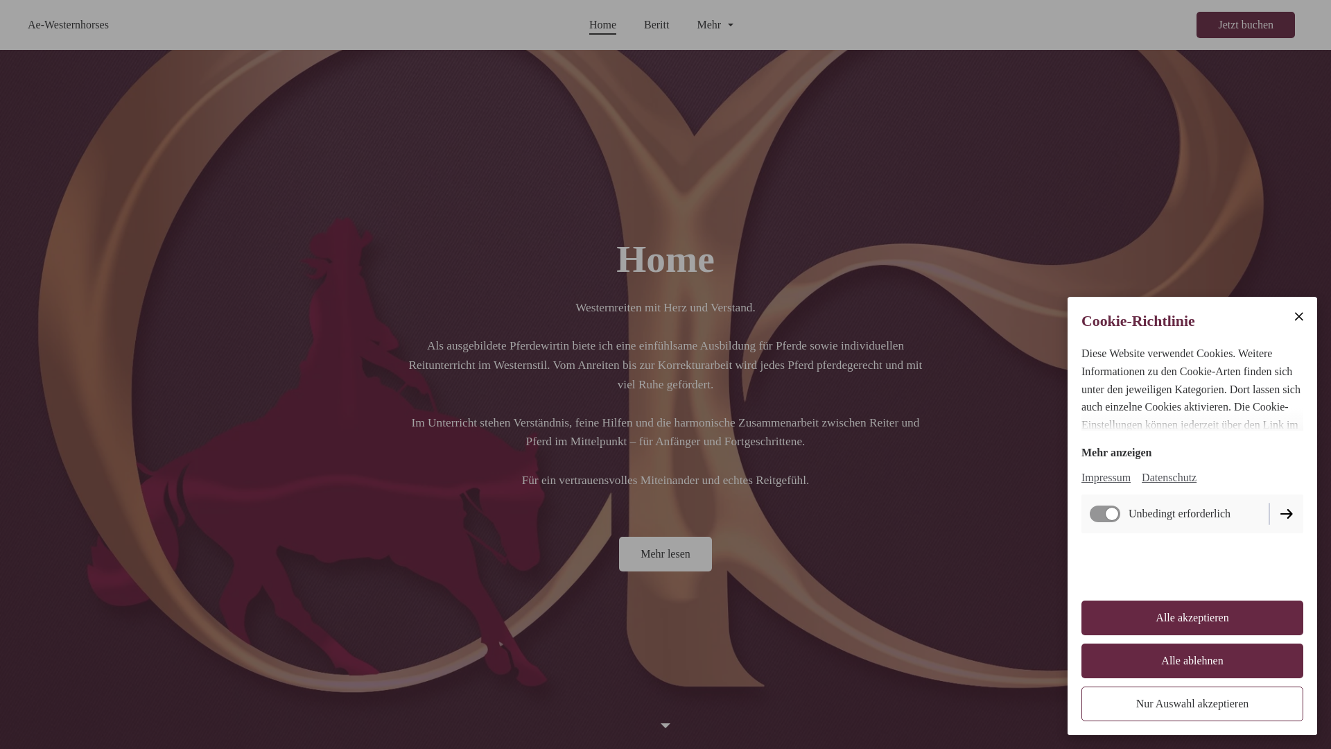 website screenshot of https://ae-westernhorses.de