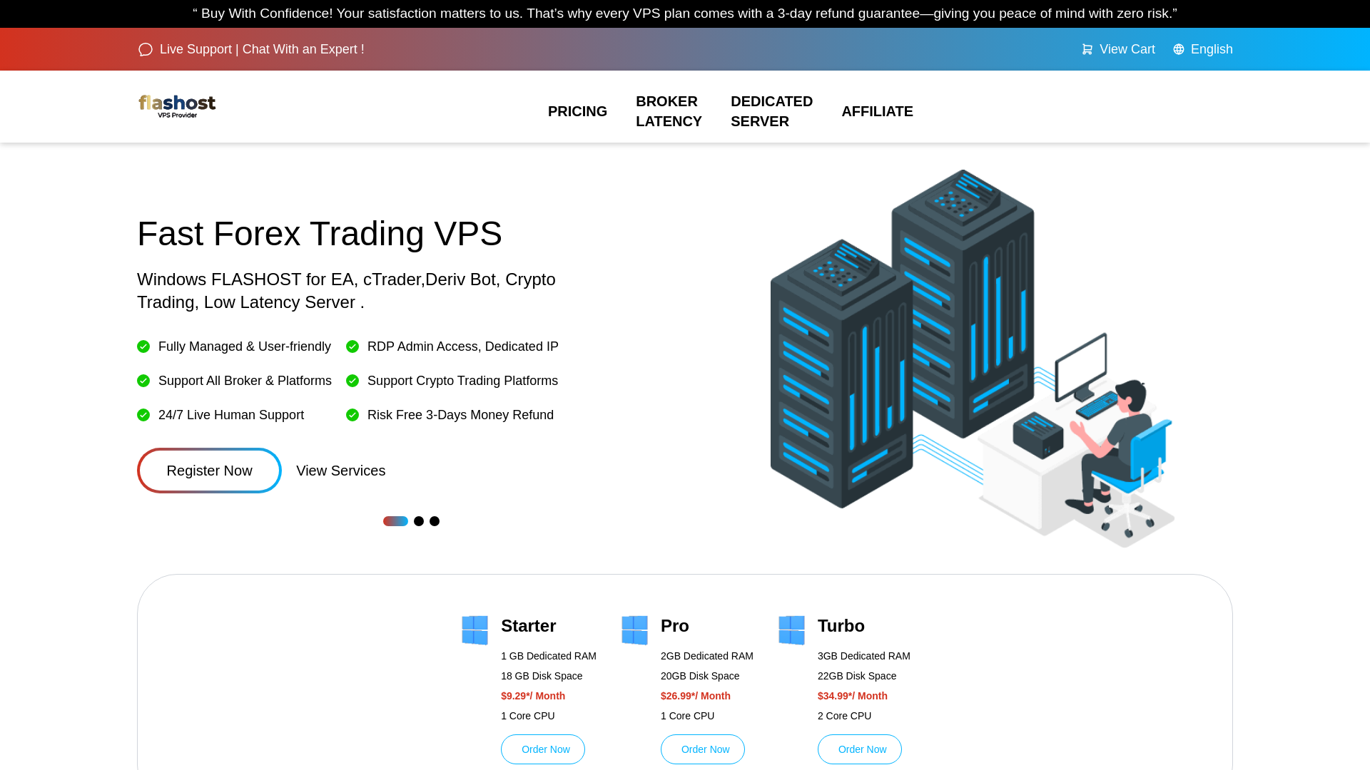 website screenshot of https://flashost.online/