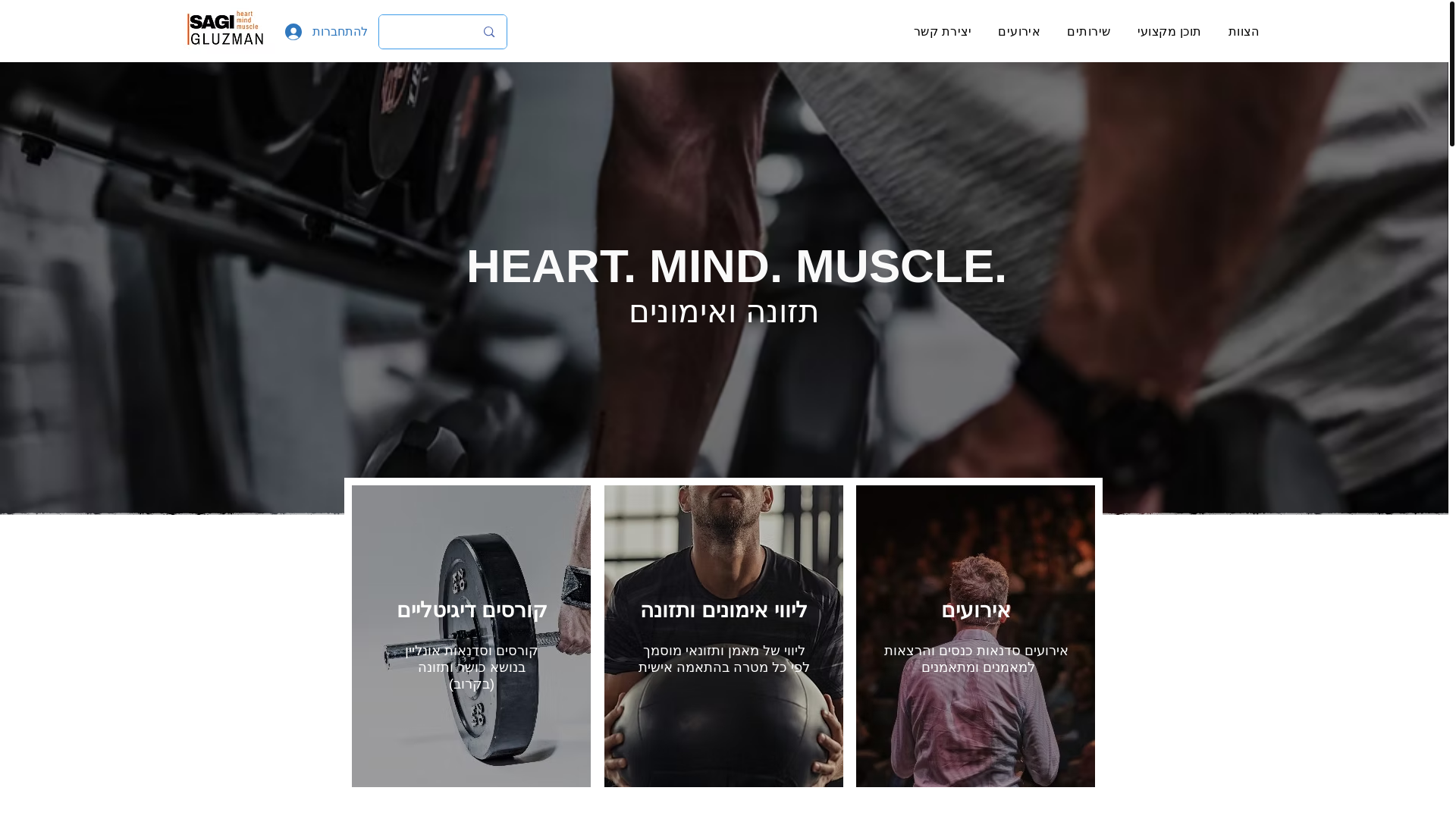 website screenshot of https://www.sagigluzman.com/