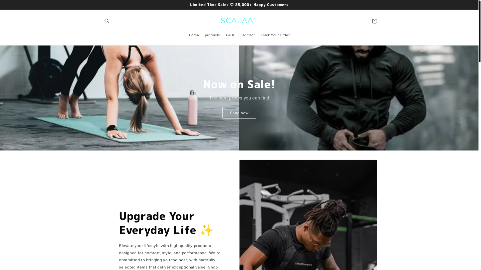 website screenshot of https://scalaat.com/