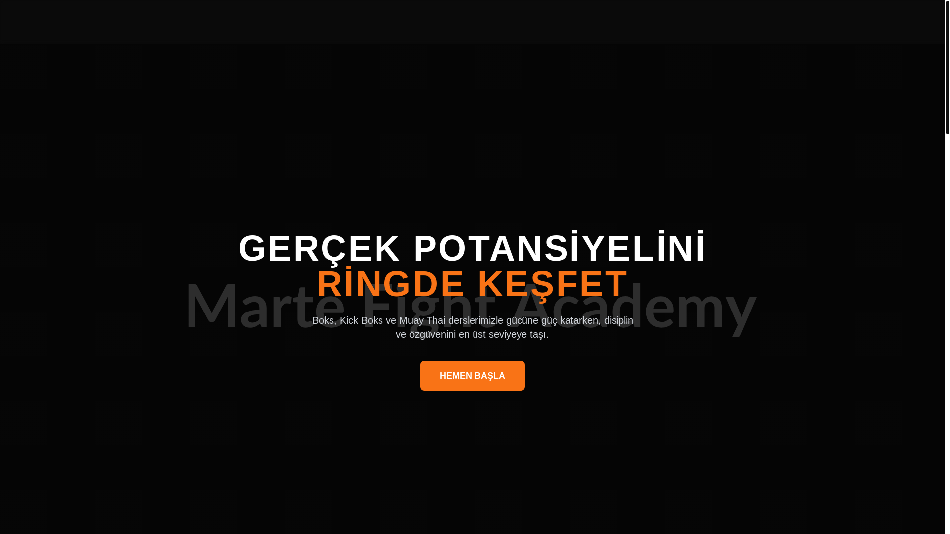 website screenshot of https://tarabyamarte.com/