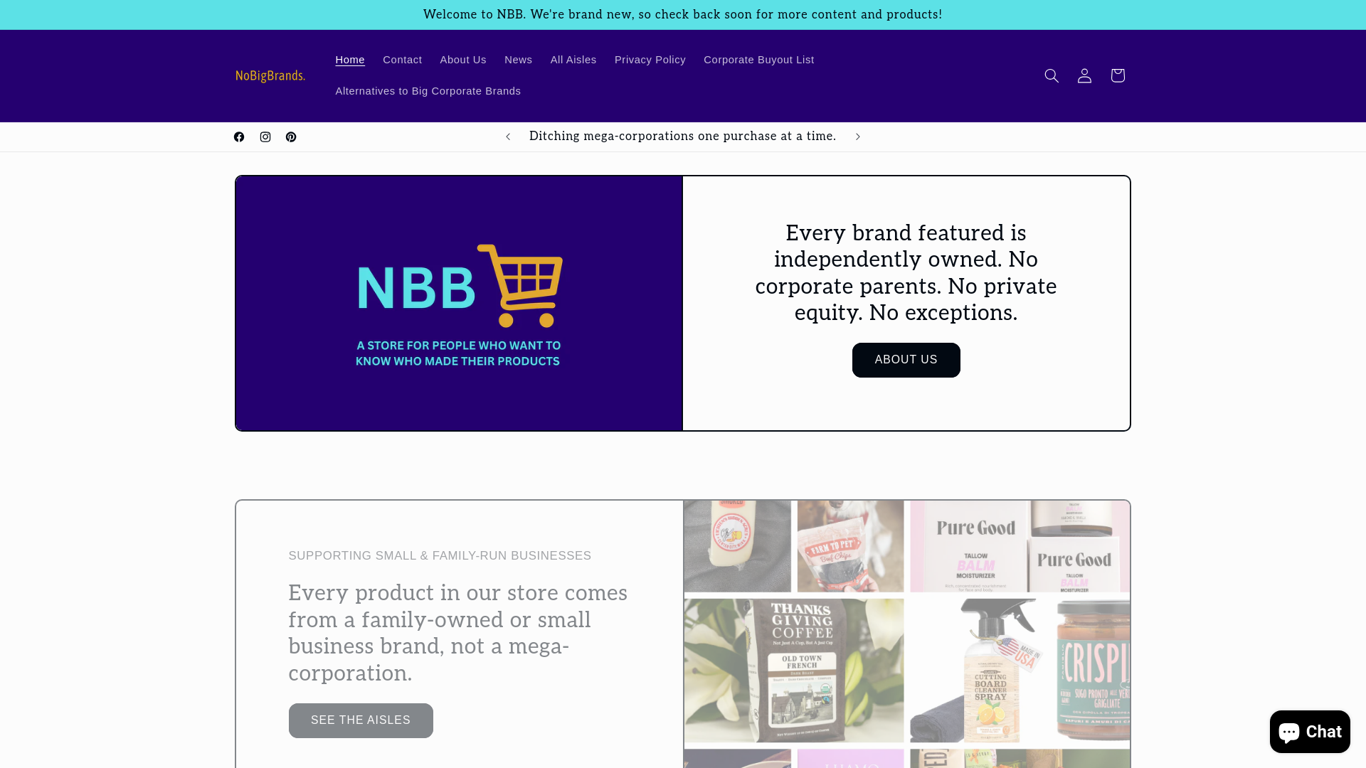 website screenshot of https://nobigbrands.shop/