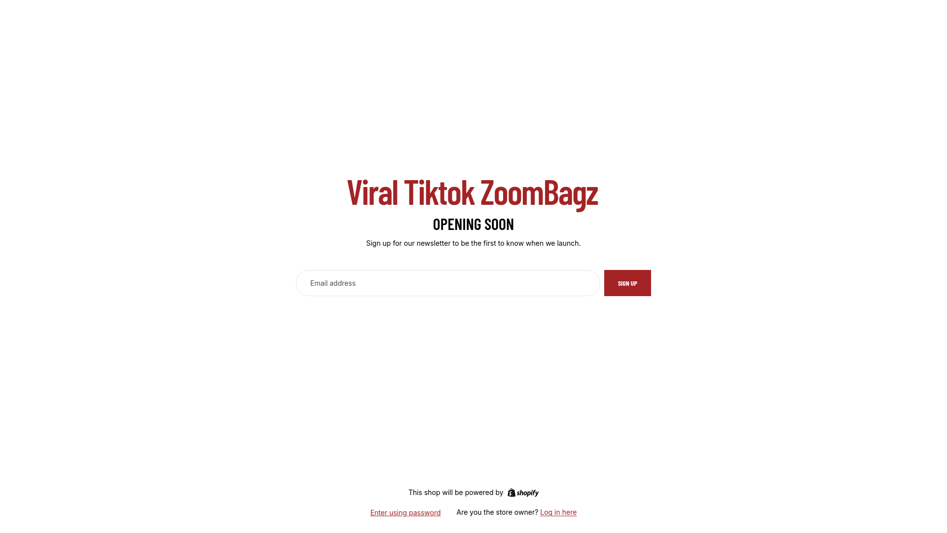 website screenshot of https://zoombagz.com/