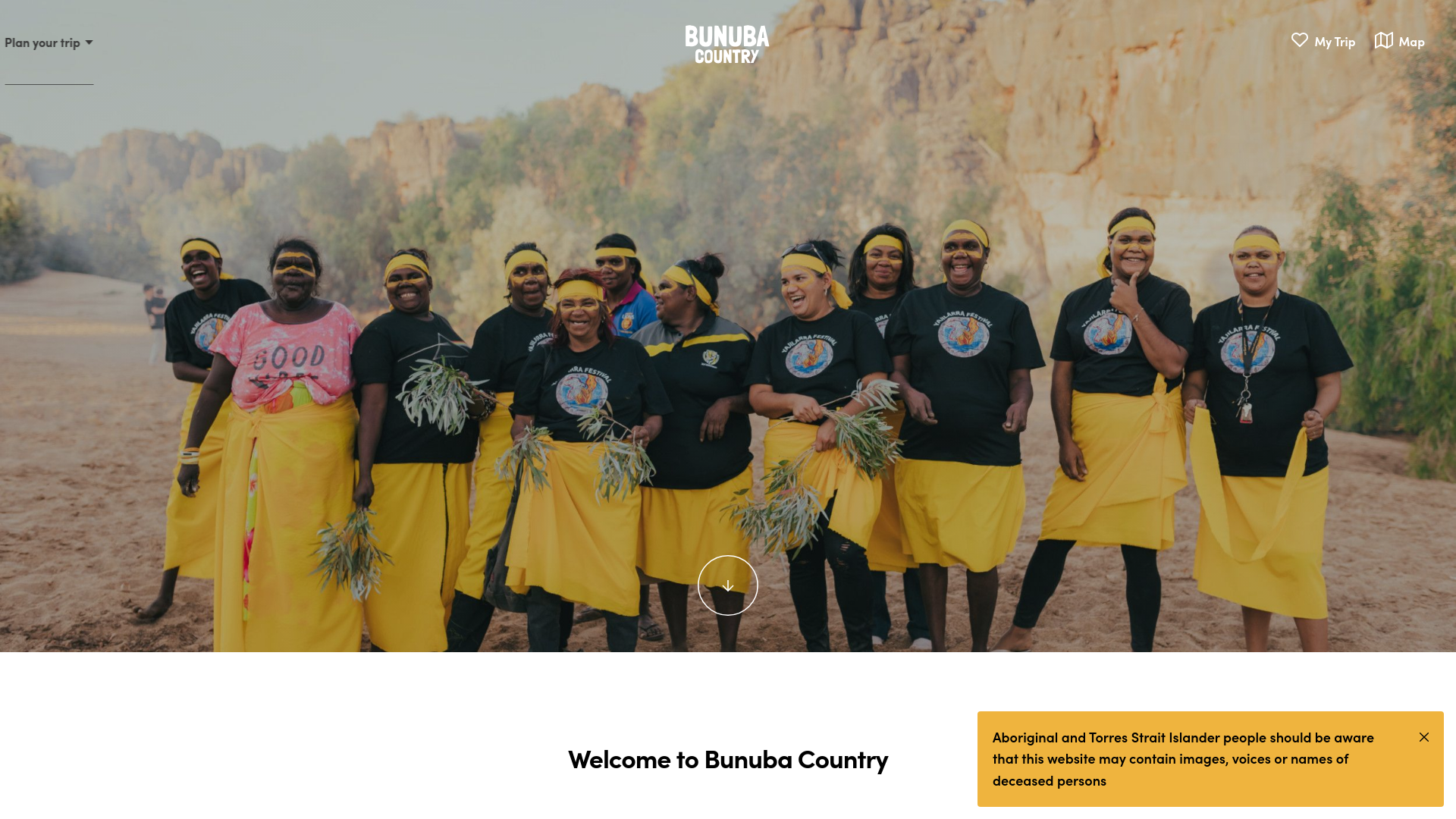 website screenshot of https://www.bunuba.com/