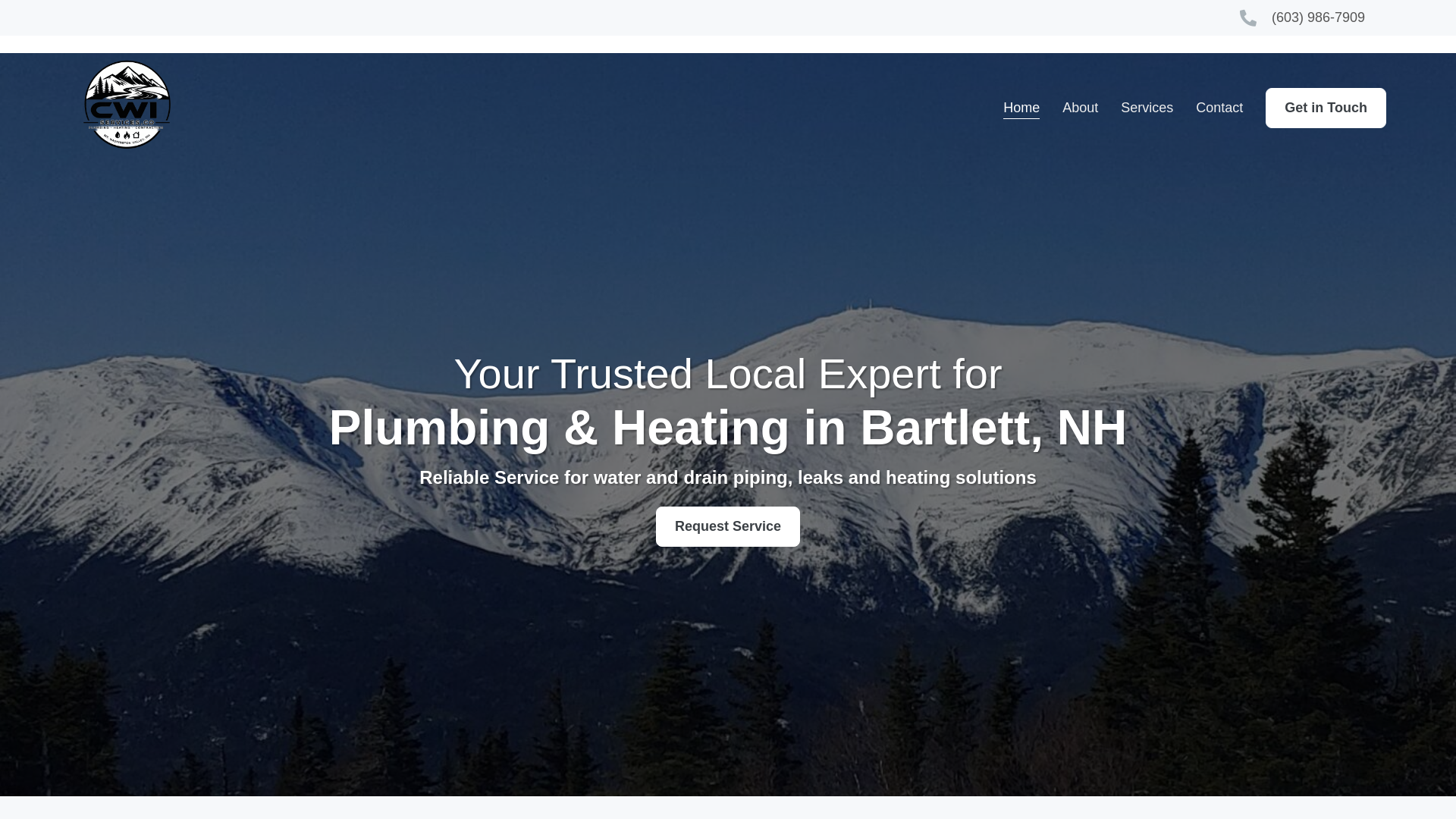 website screenshot of https://cwiservices.co