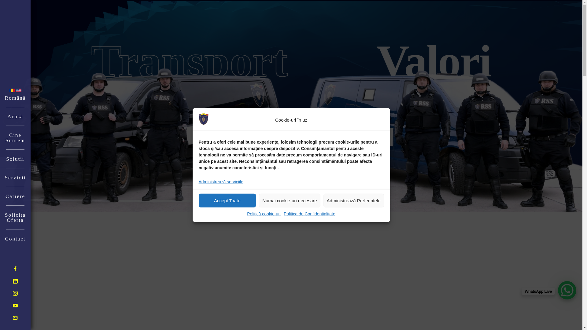 website screenshot of https://transport-valori.ro/
