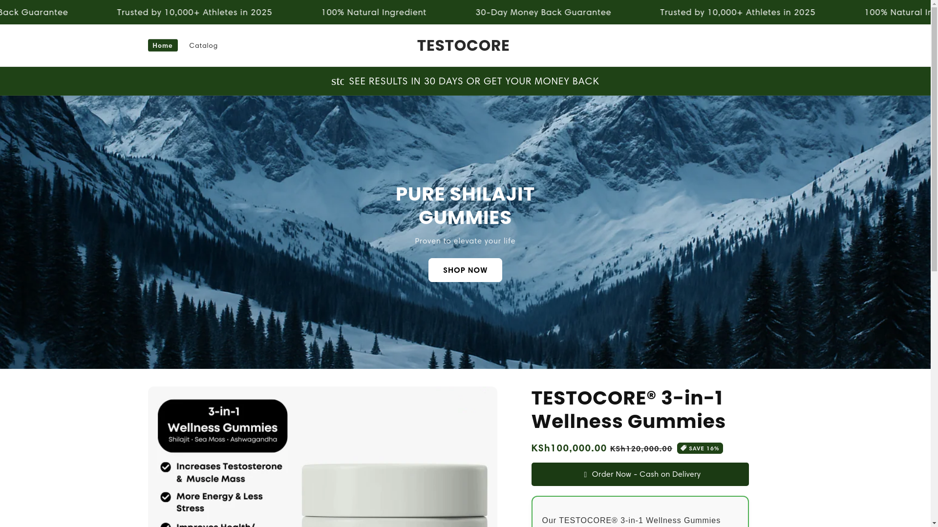 website screenshot of https://testocore.store/