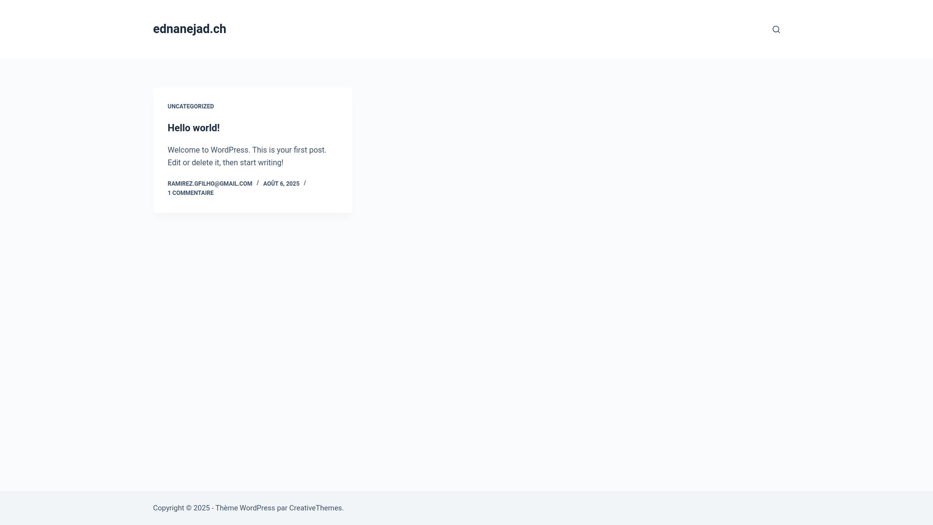 website screenshot of https://ednanejad.ch/