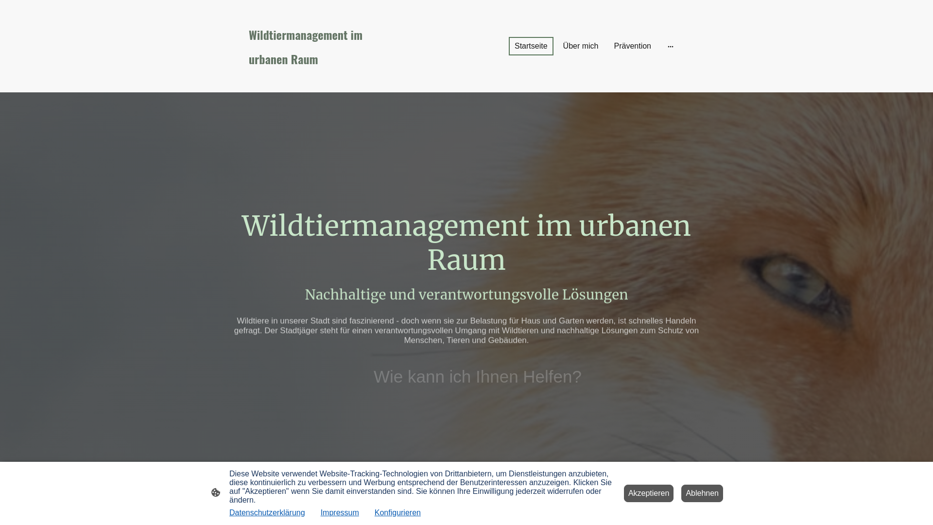 website screenshot of https://xn--stadtjger-02a.info