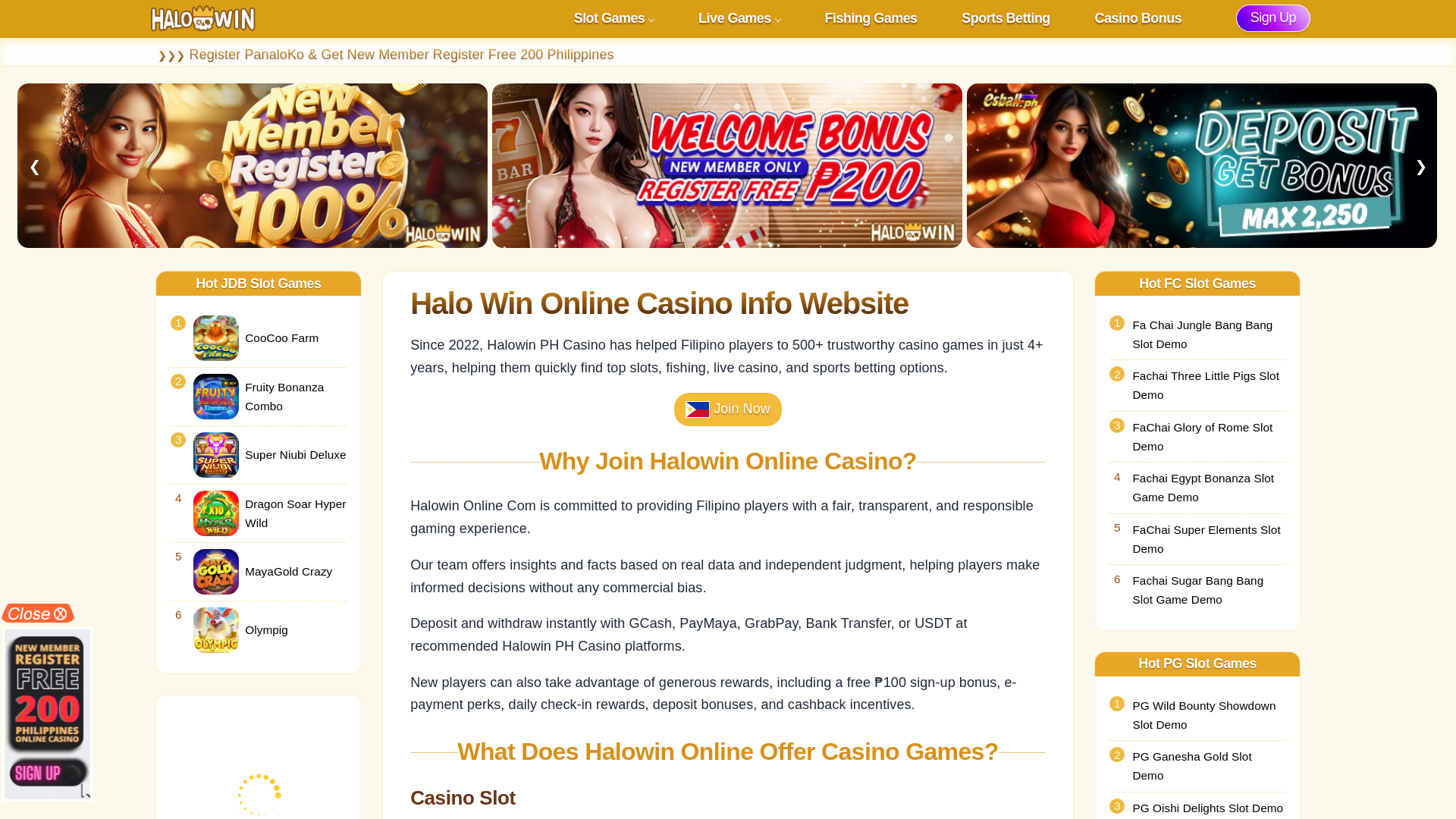 website screenshot of https://www.halowinonline.com/