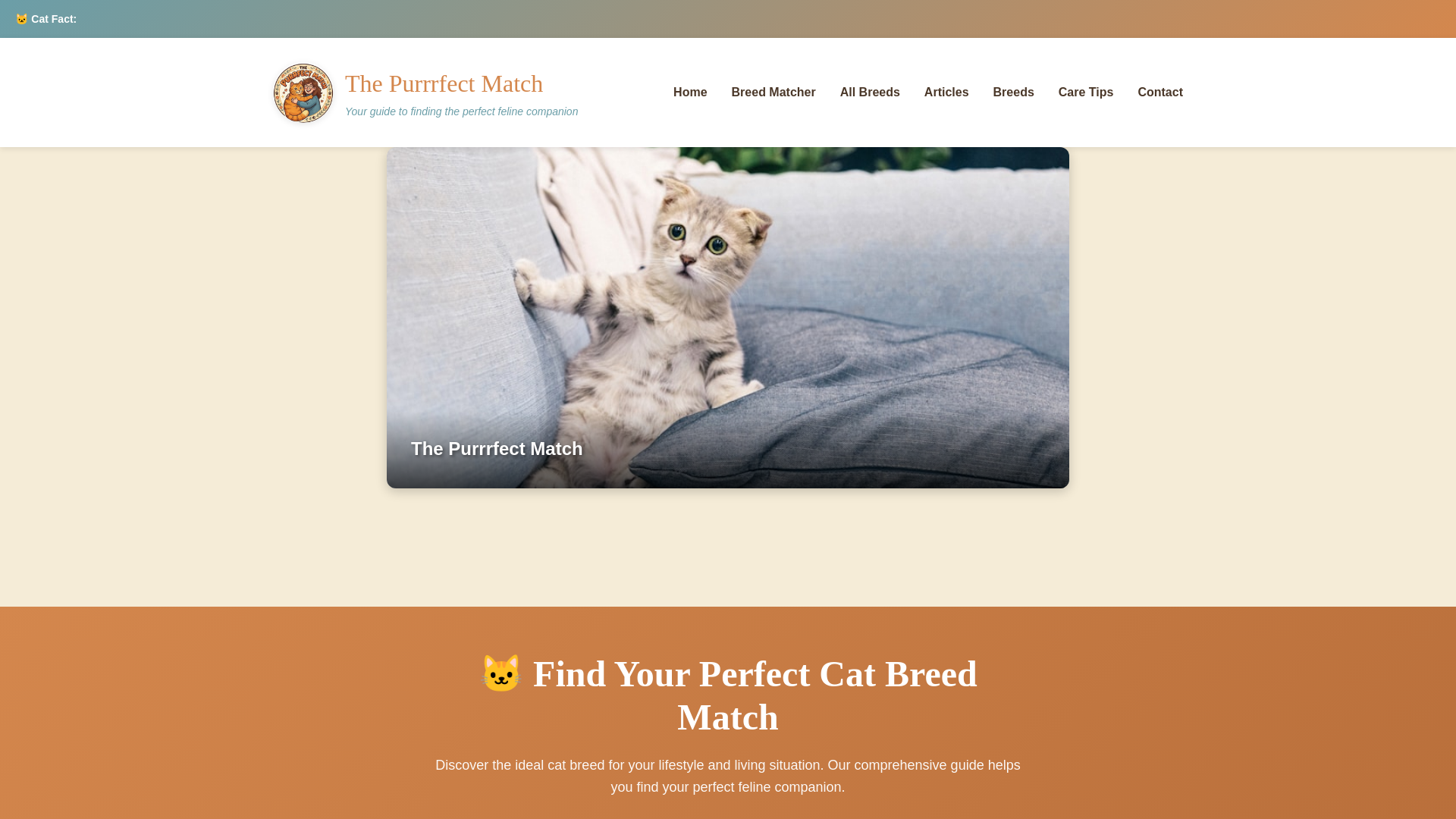 website screenshot of https://thepurrrfectmatch.pages.dev/