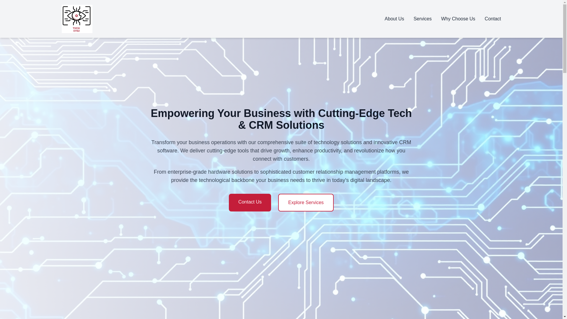 website screenshot of https://techeyez.co.za/