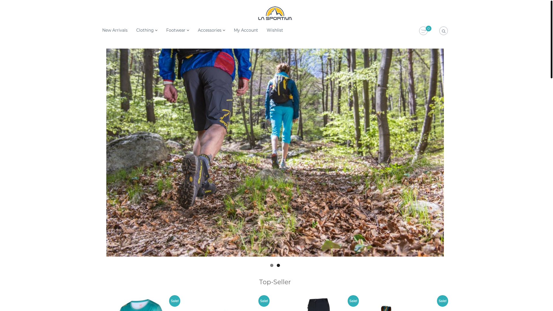 website screenshot of https://lisarerucha.shop/