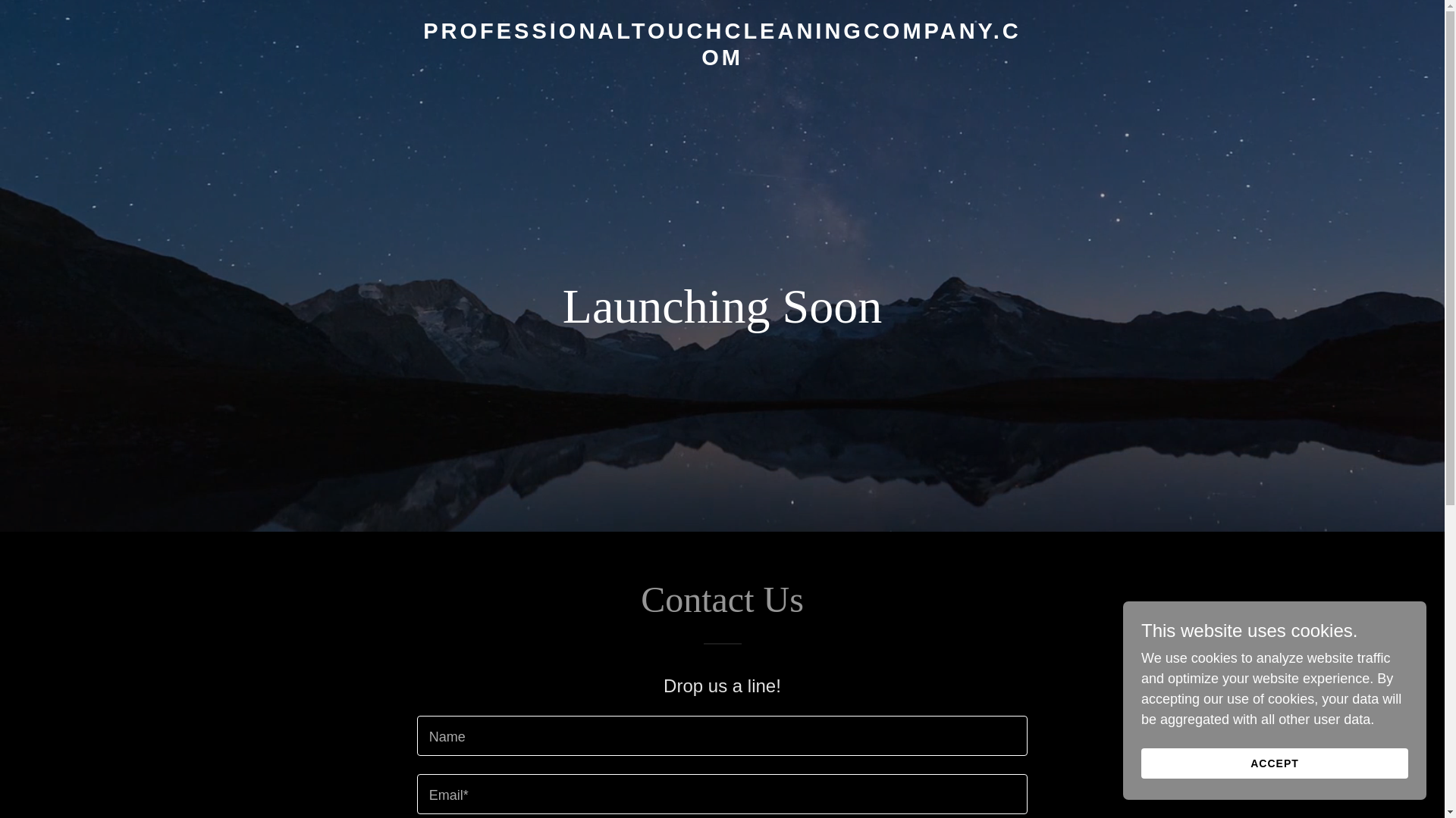 website screenshot of https://professionaltouchcleaningcompany.com/