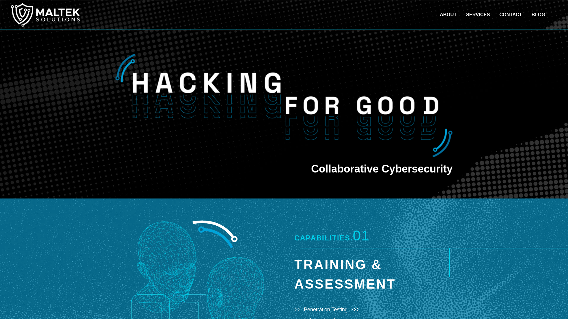 website screenshot of https://gomalteksolutions.biz