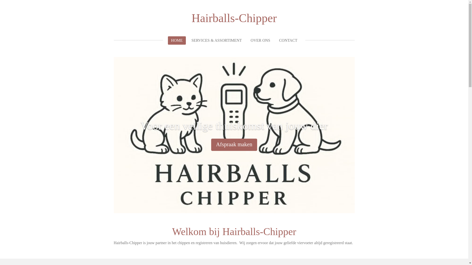 website screenshot of https://hairballs-chipper.nl/