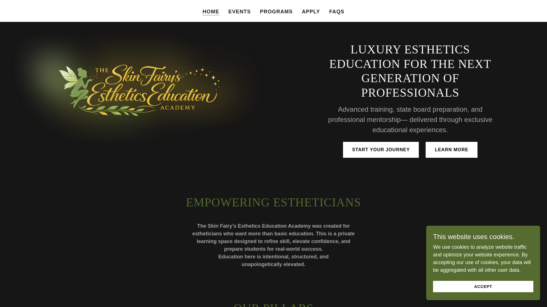 website screenshot of https://skinfairyacademy.com/