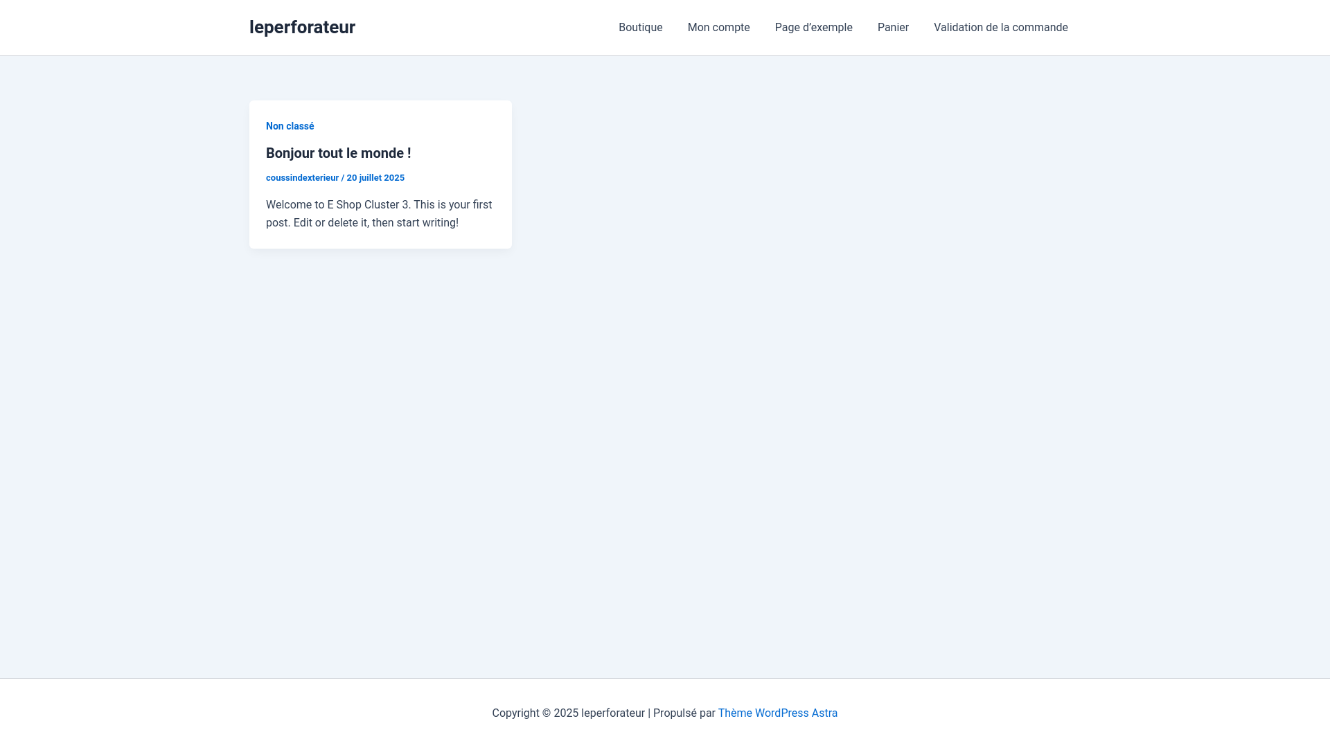 website screenshot of https://leperforateur.com/