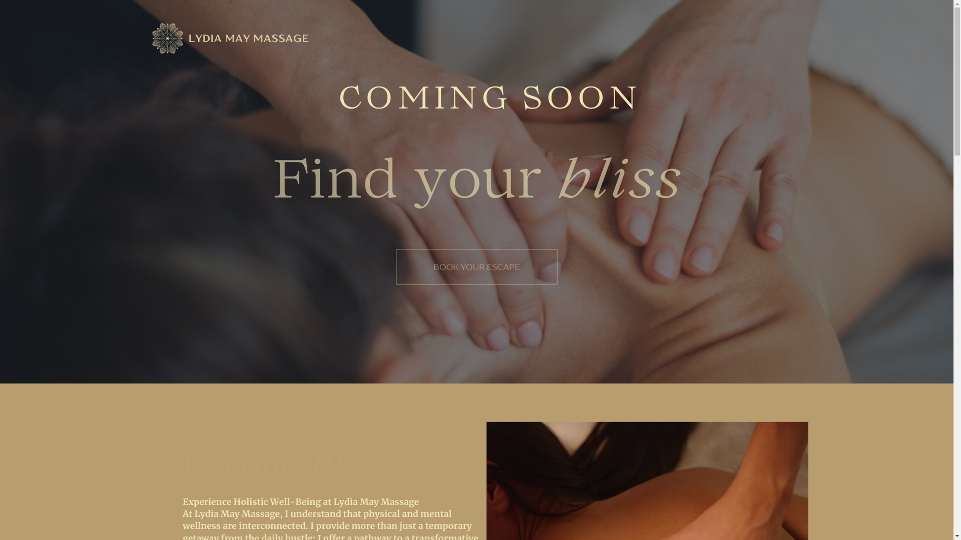 website screenshot of https://lydiamaymassage.com/