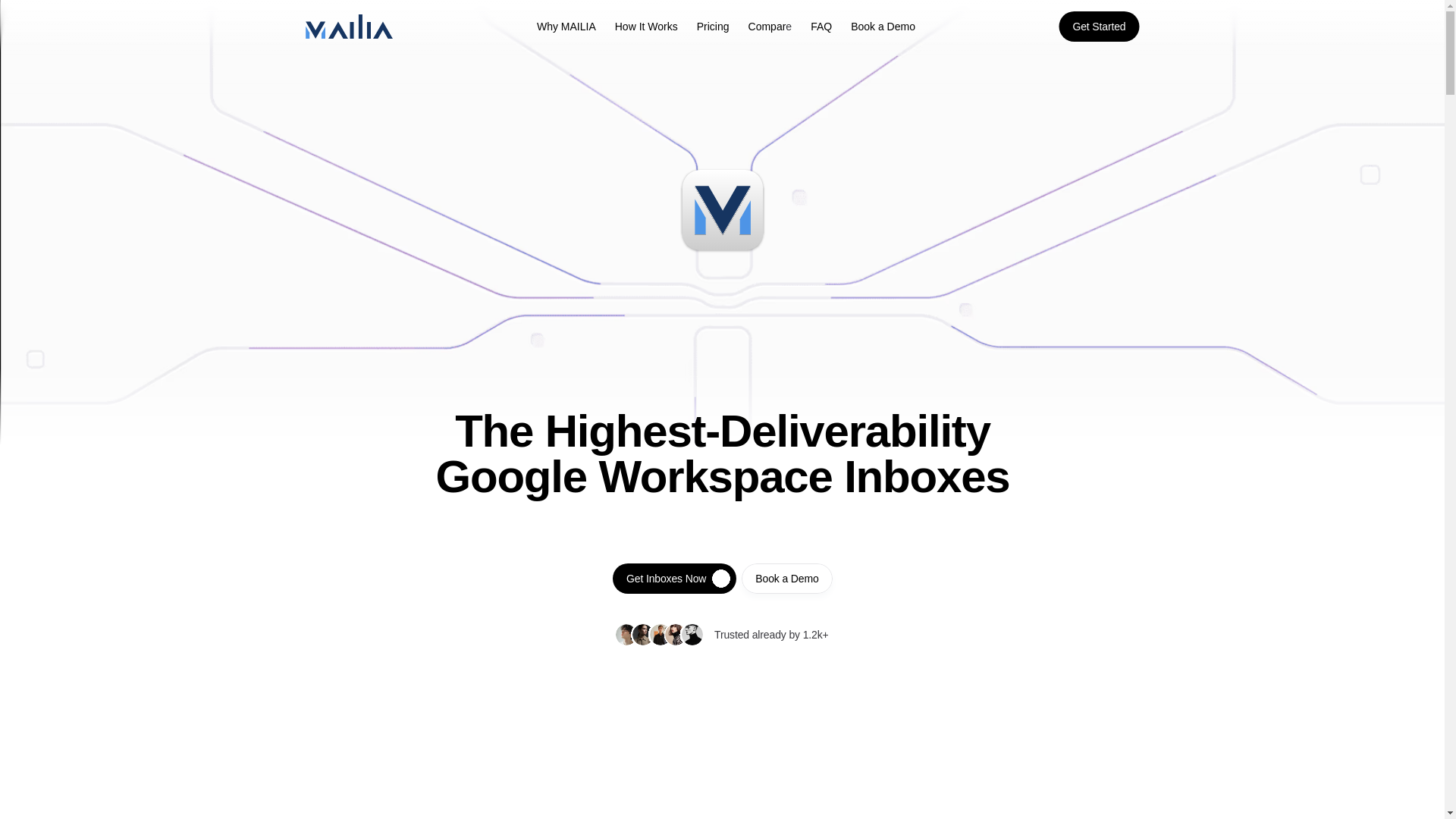 website screenshot of https://mailiasystems.co/
