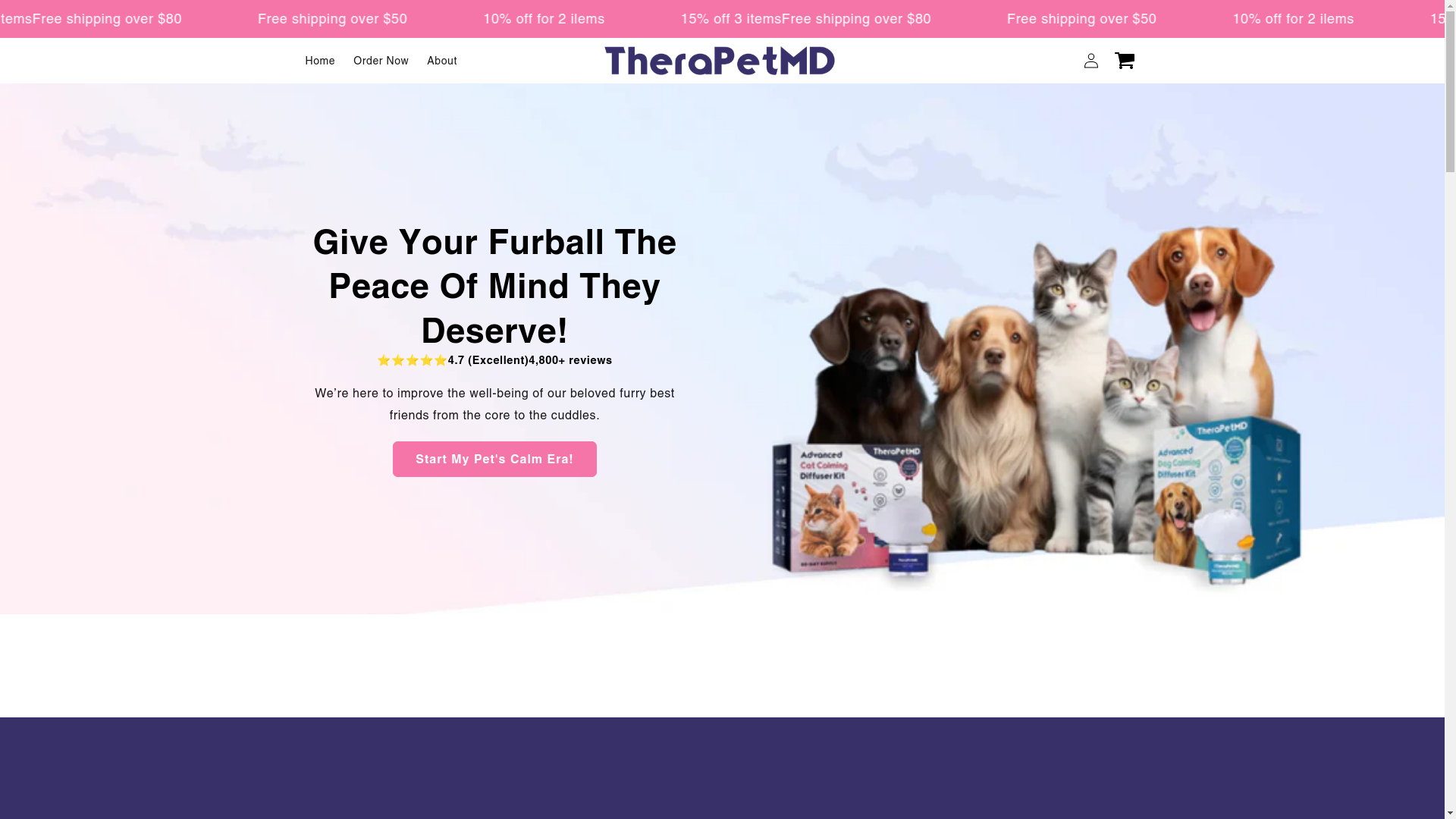 website screenshot of https://theramd.site/