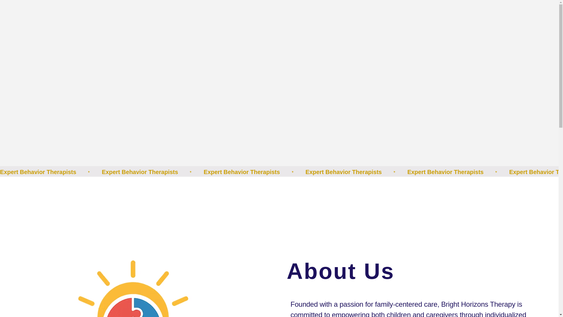 website screenshot of https://brighthorizonstherapy.org/
