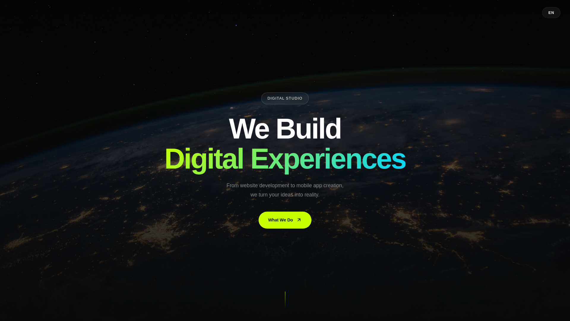 website screenshot of https://leeahnfnc.com/