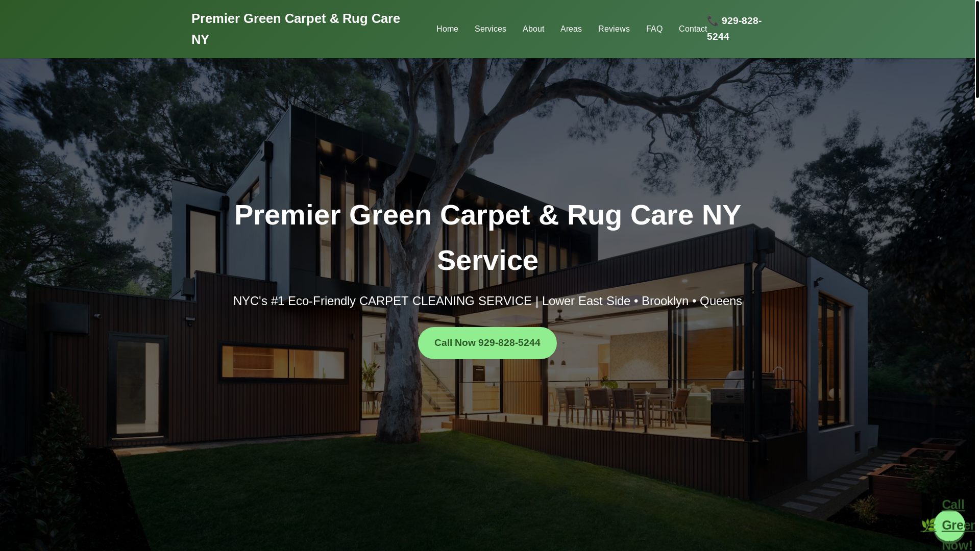 website screenshot of https://premiergreencarpetrugcareny.top/