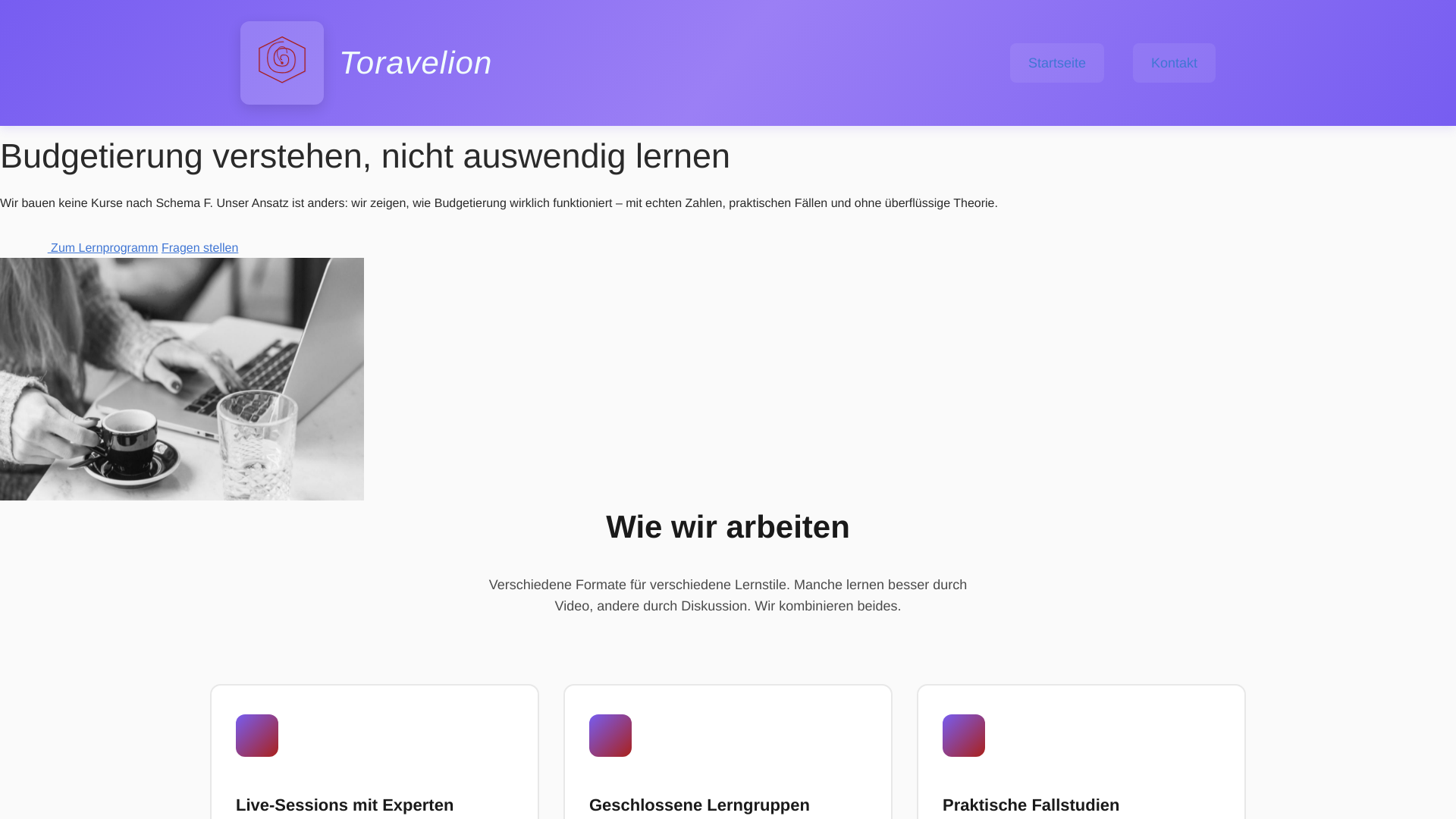 website screenshot of https://toravelion.com/