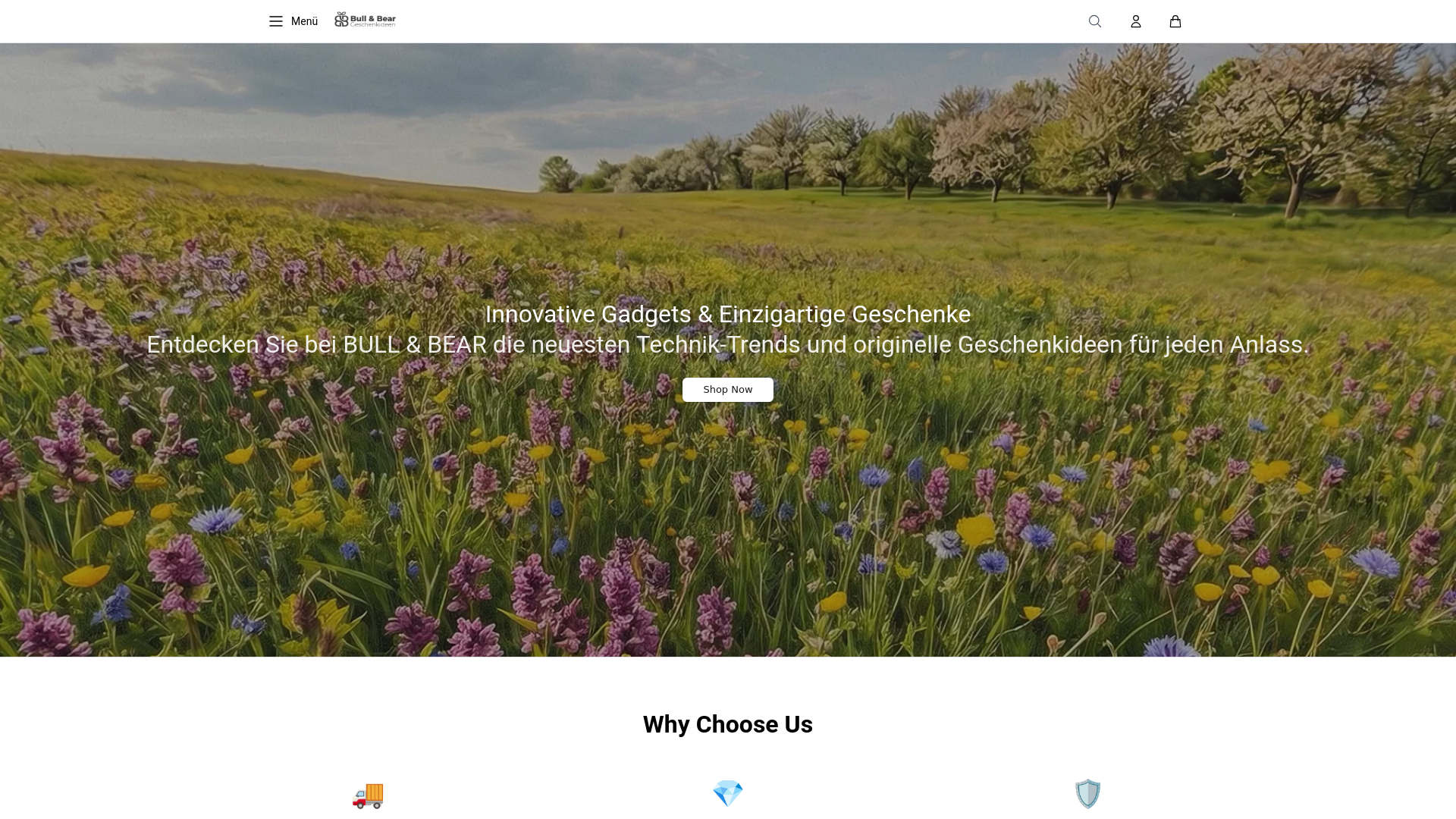 website screenshot of https://bullbearstyle.shop/