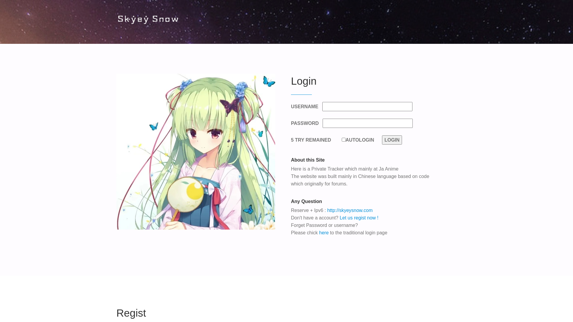 website screenshot of https://skyey2.com