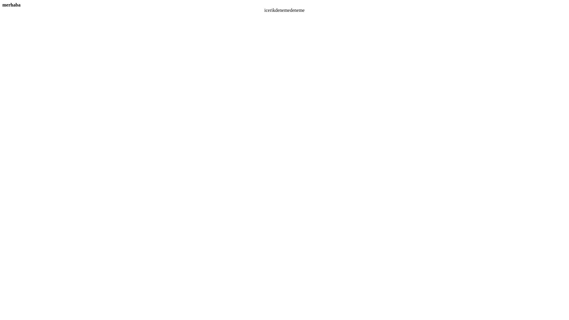 website screenshot of https://istanbulkepenkservis.com/