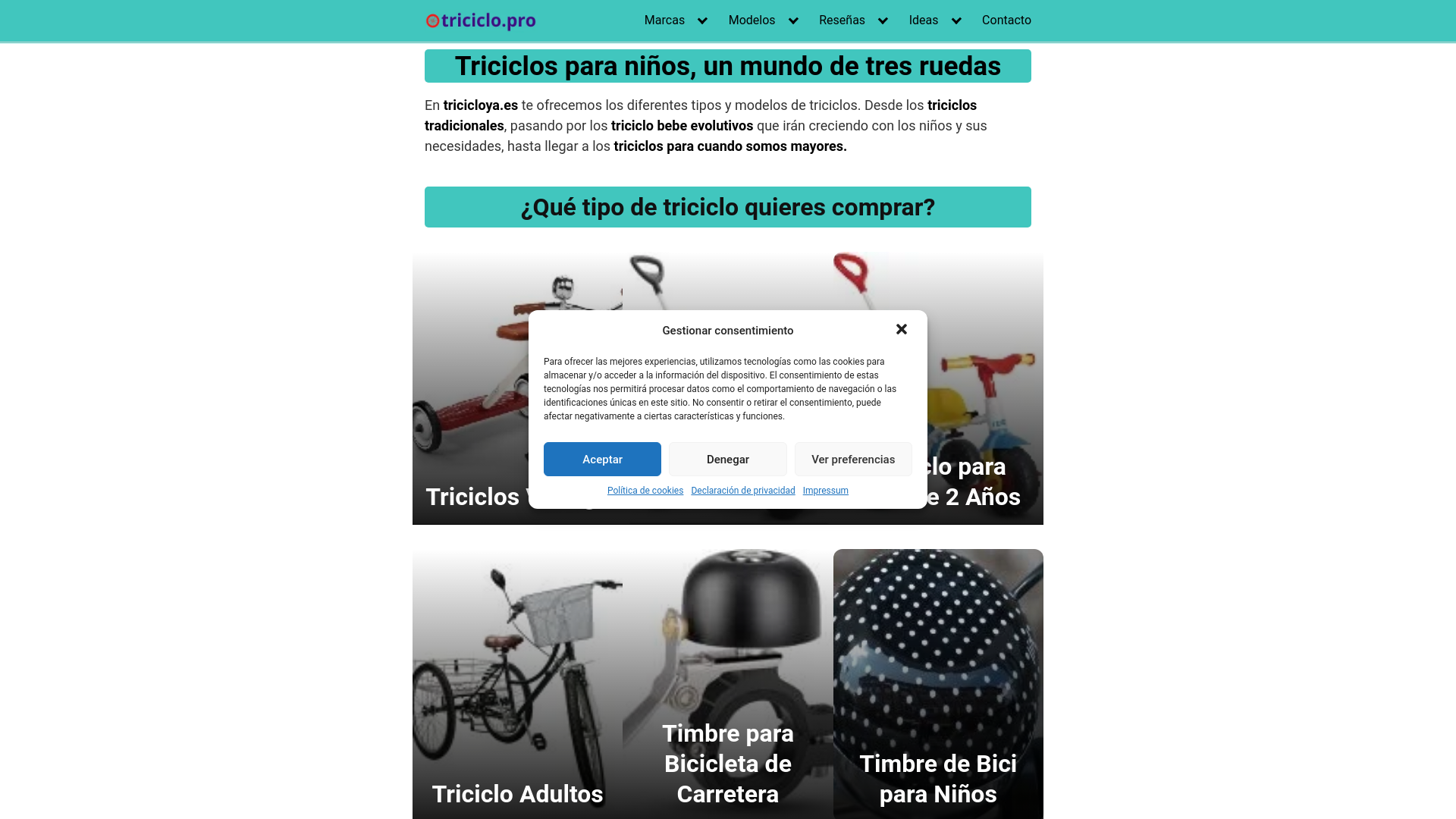 website screenshot of https://tricicloya.es/