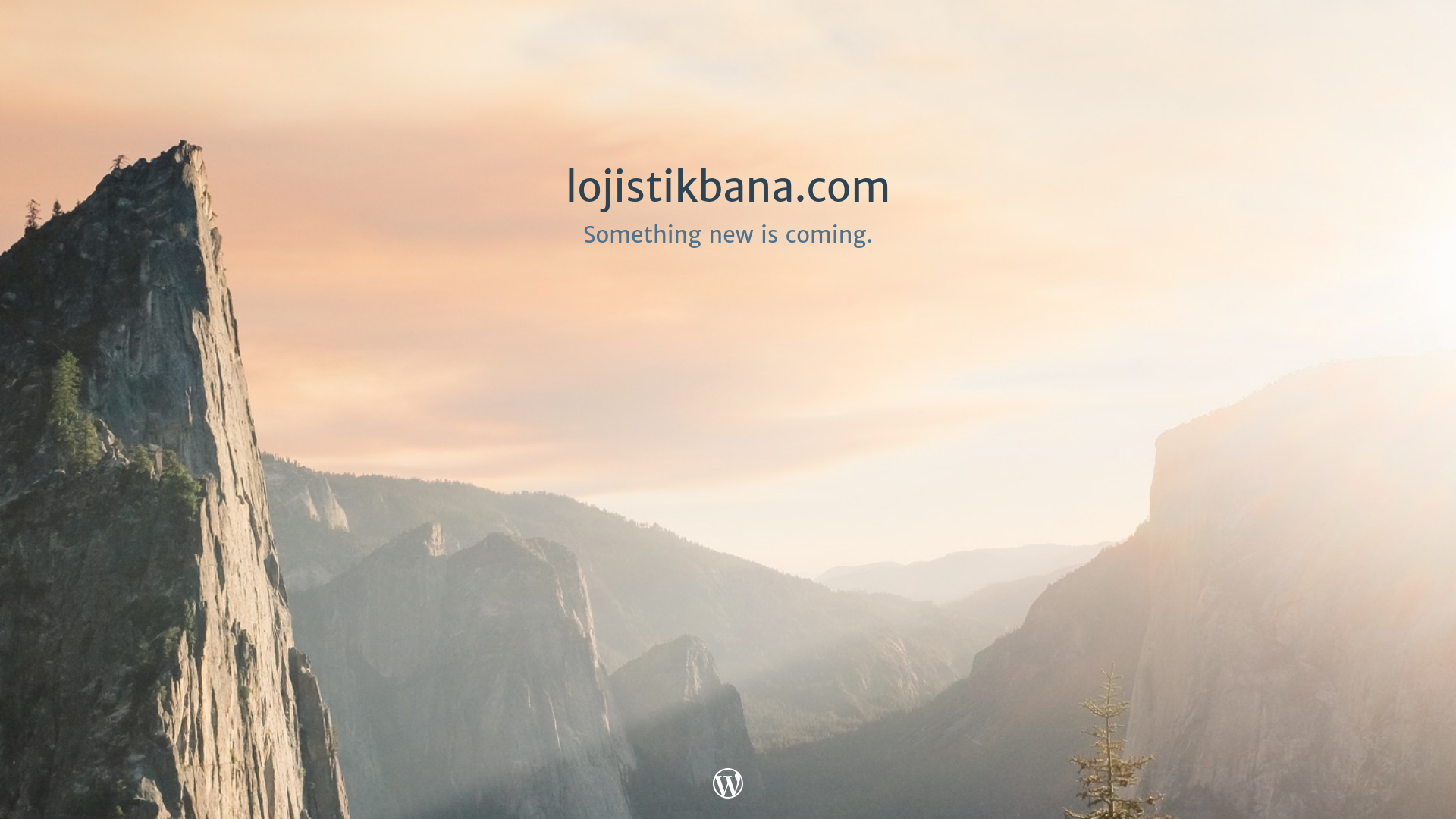 website screenshot of https://lojistikbana.com/