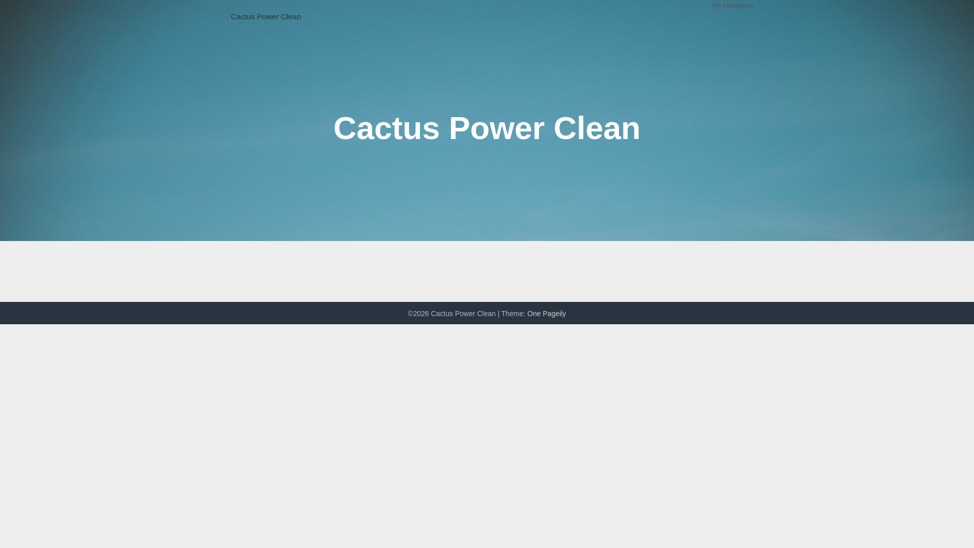 website screenshot of https://cactuspowerclean.com