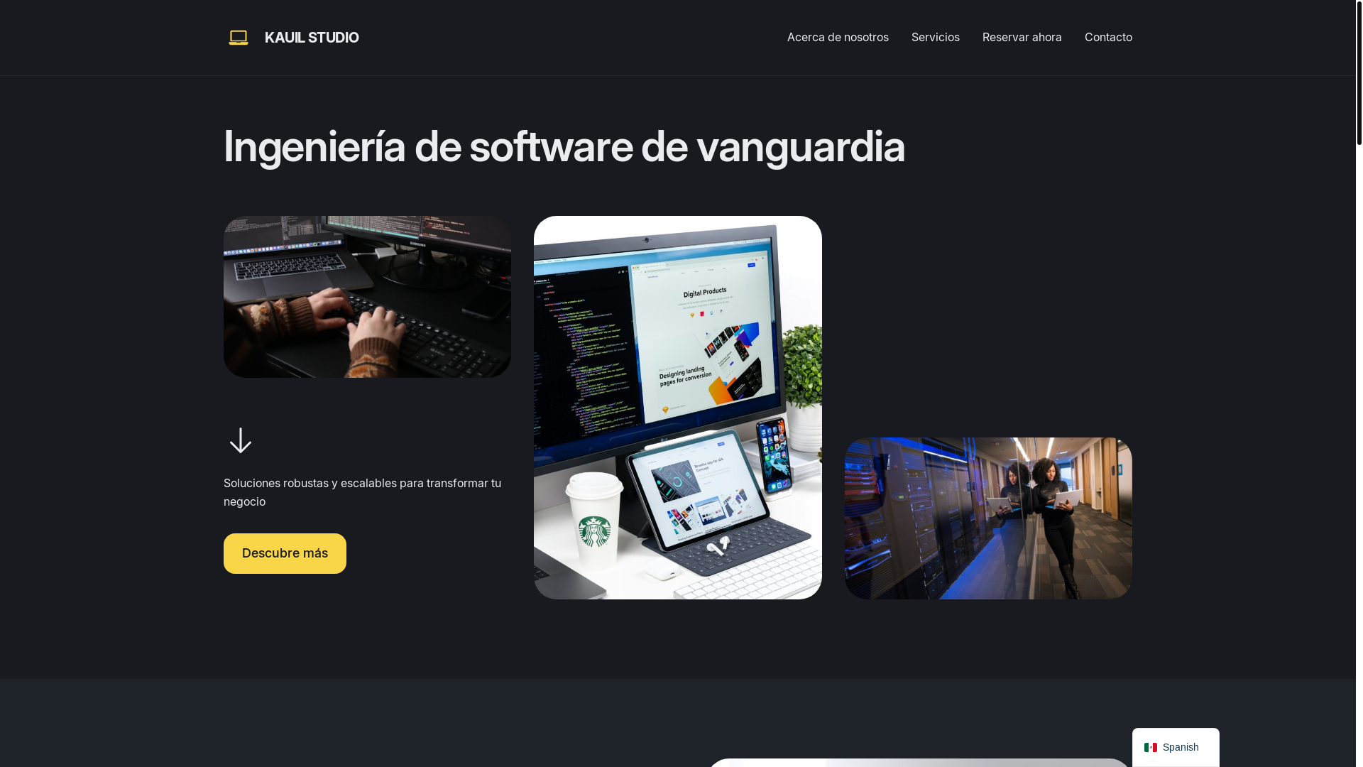 website screenshot of https://kauilstudio.com/