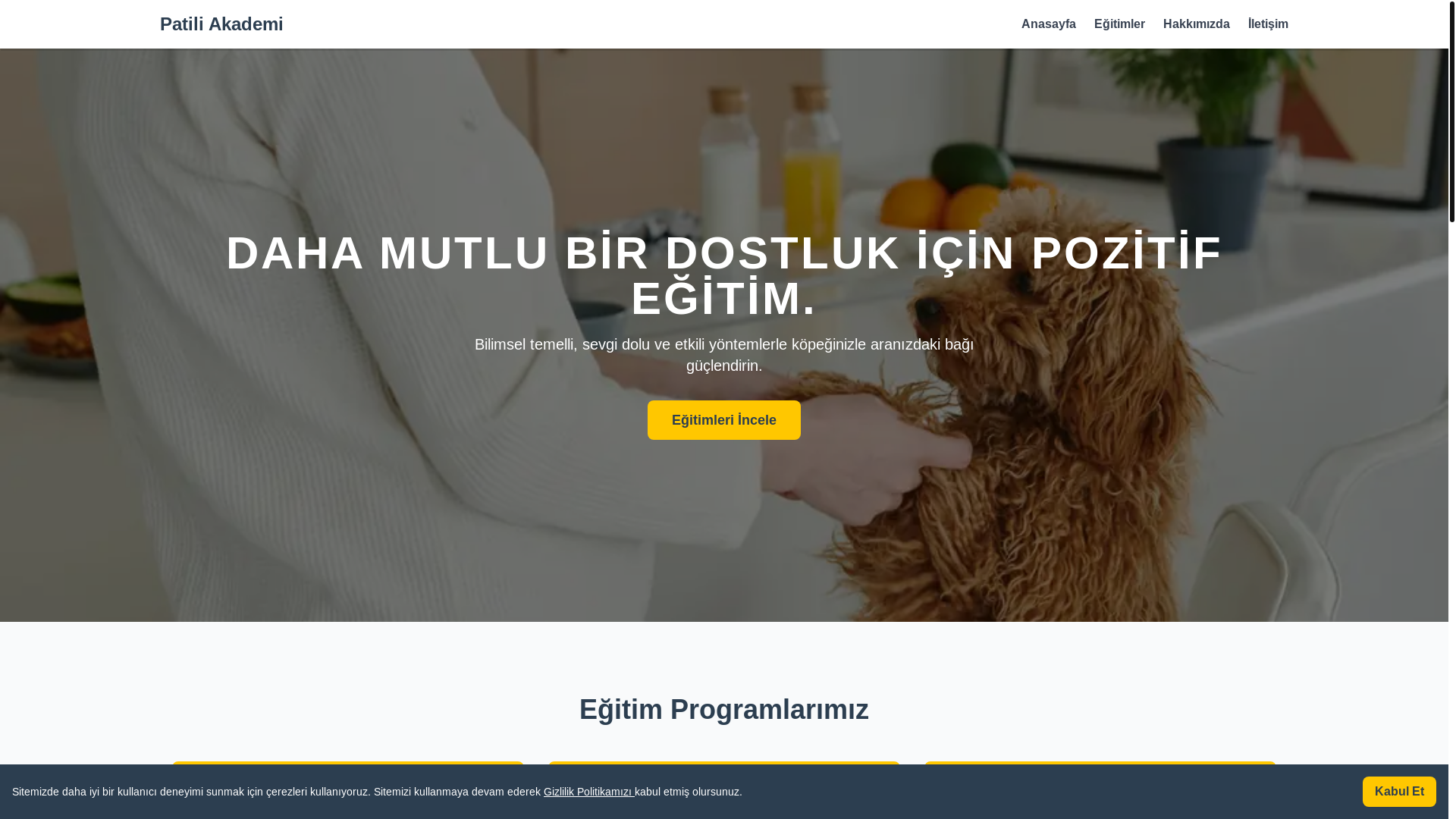 website screenshot of https://patiliakademi.info/