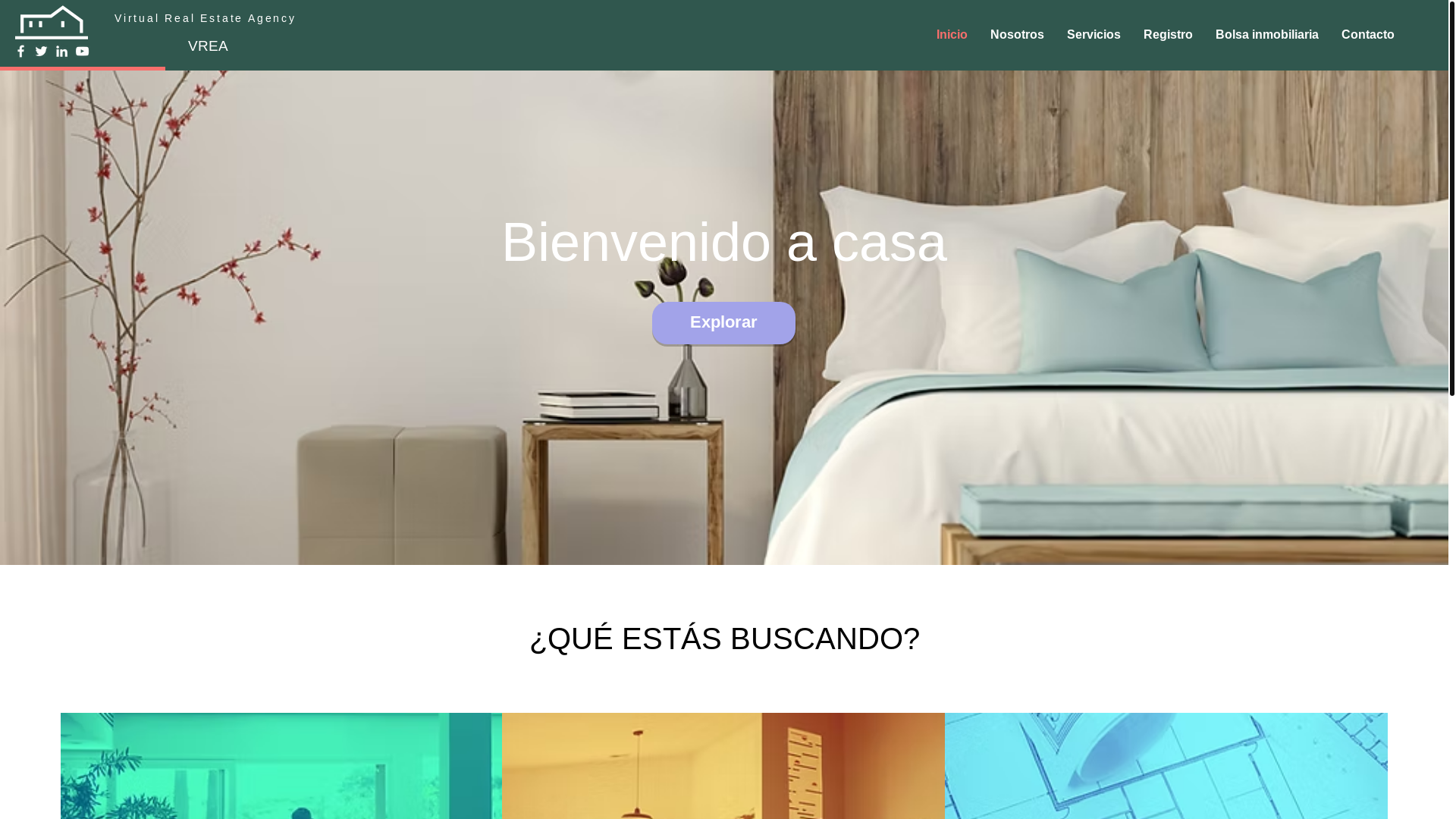 website screenshot of https://vreag.com/