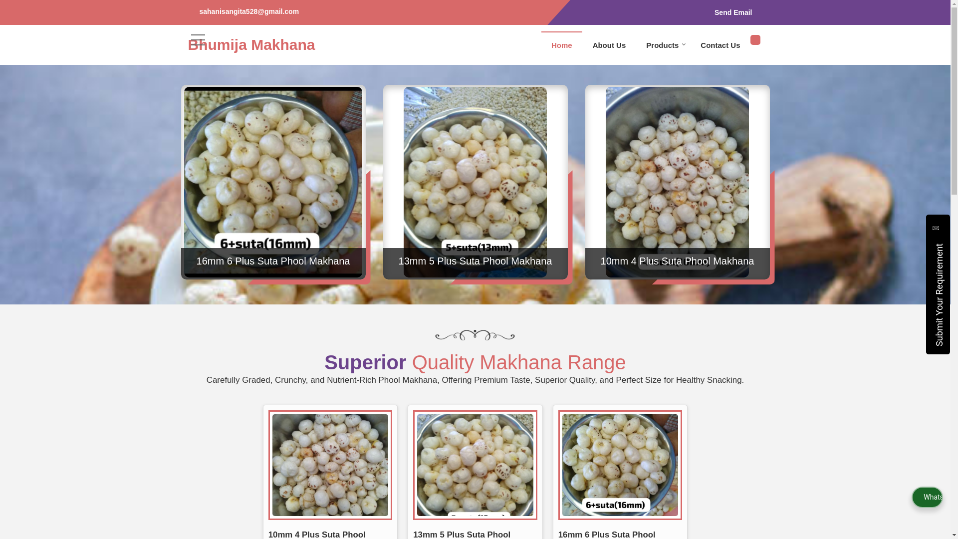 website screenshot of https://bhumijamakhana.in/