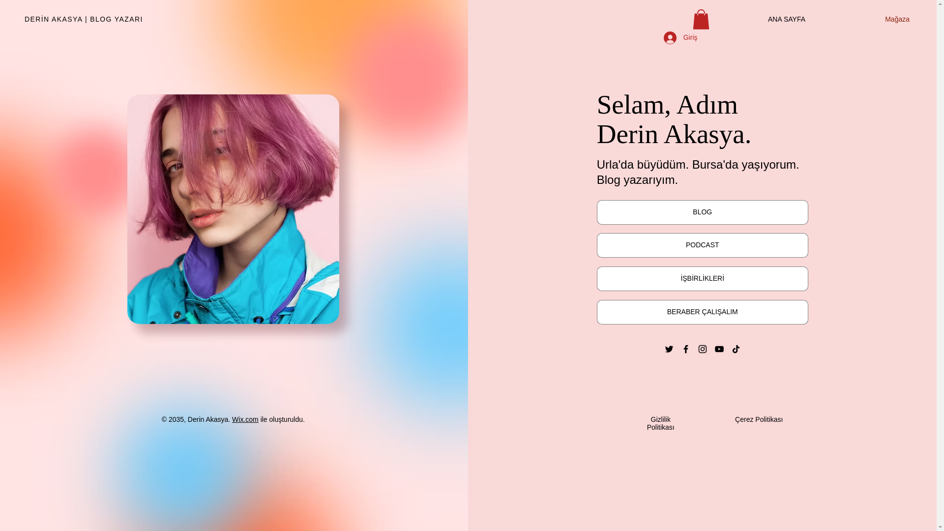 website screenshot of https://bahistipster.com/
